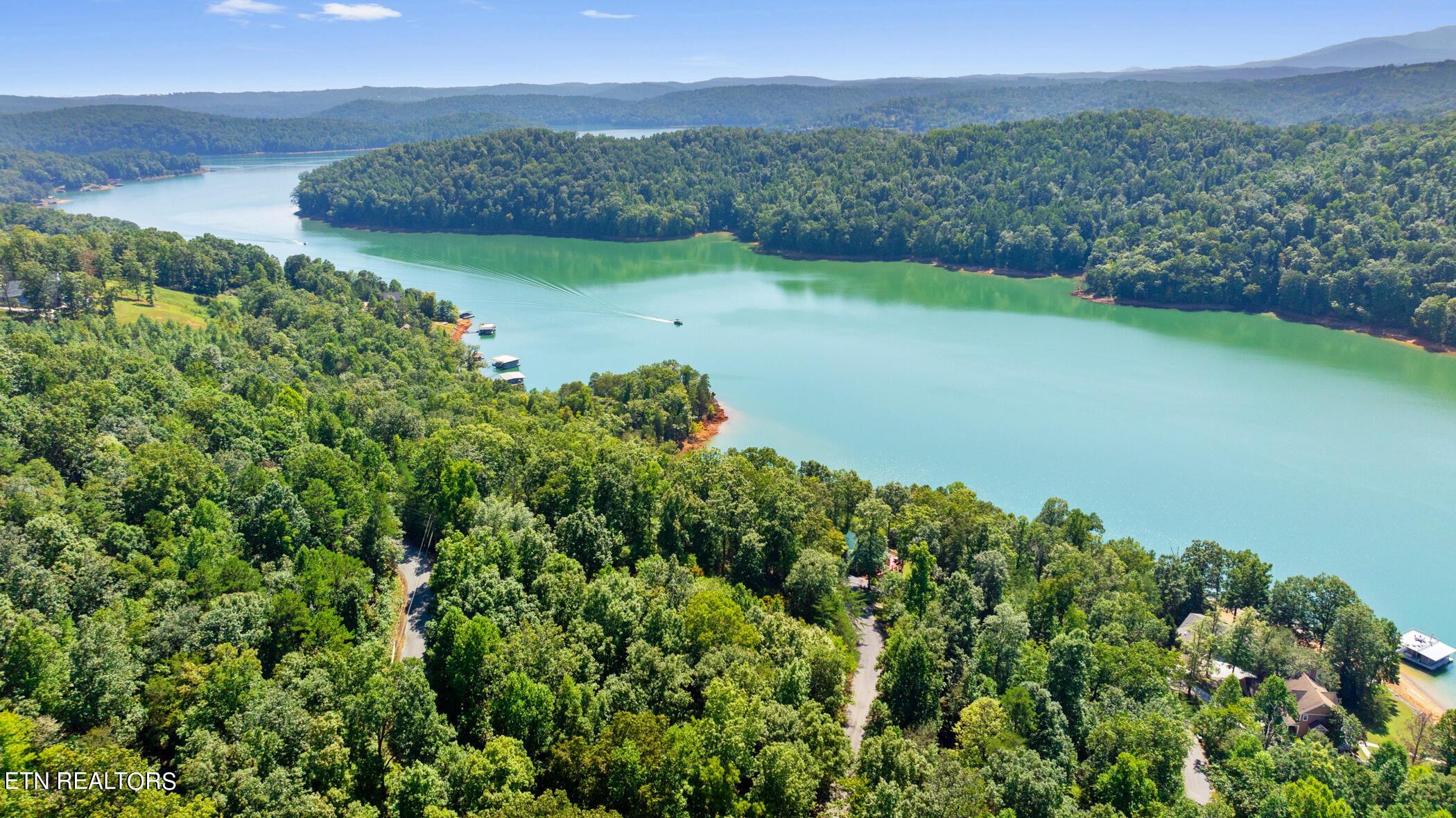 Norris Lake Real Estate - Image# 3