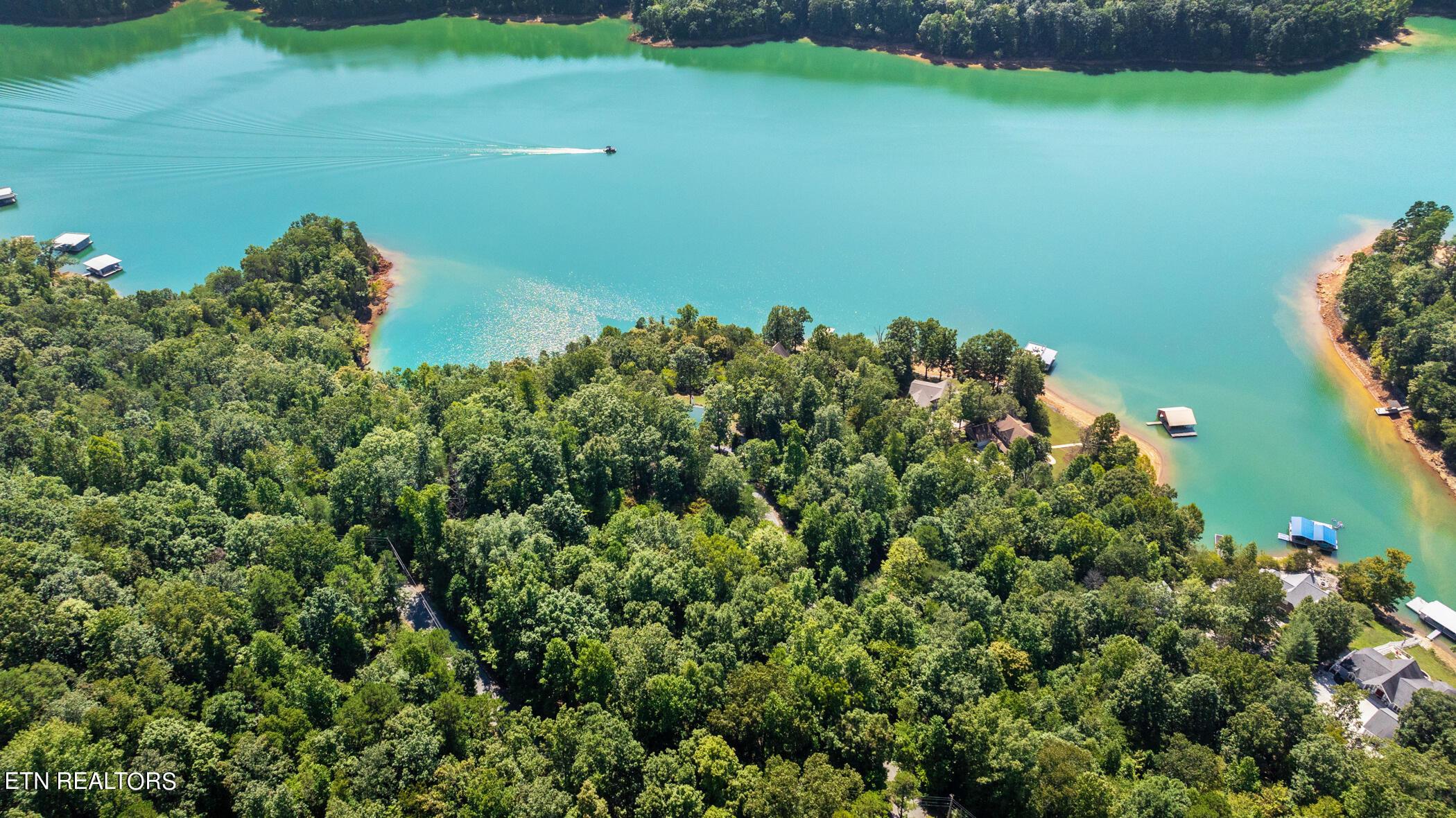 Norris Lake Real Estate - Image# 1