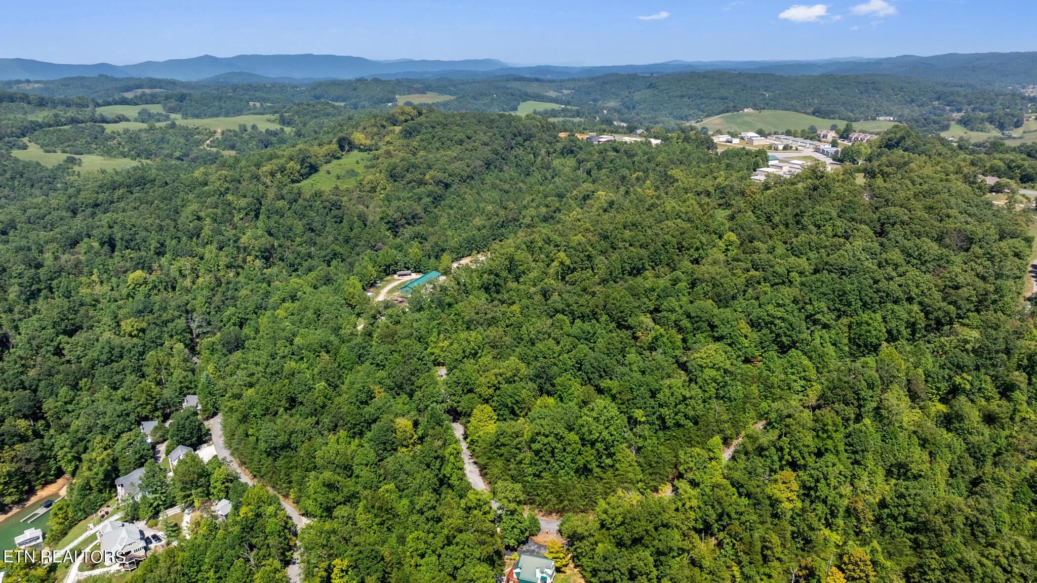 Norris Lake Real Estate - Image# 8