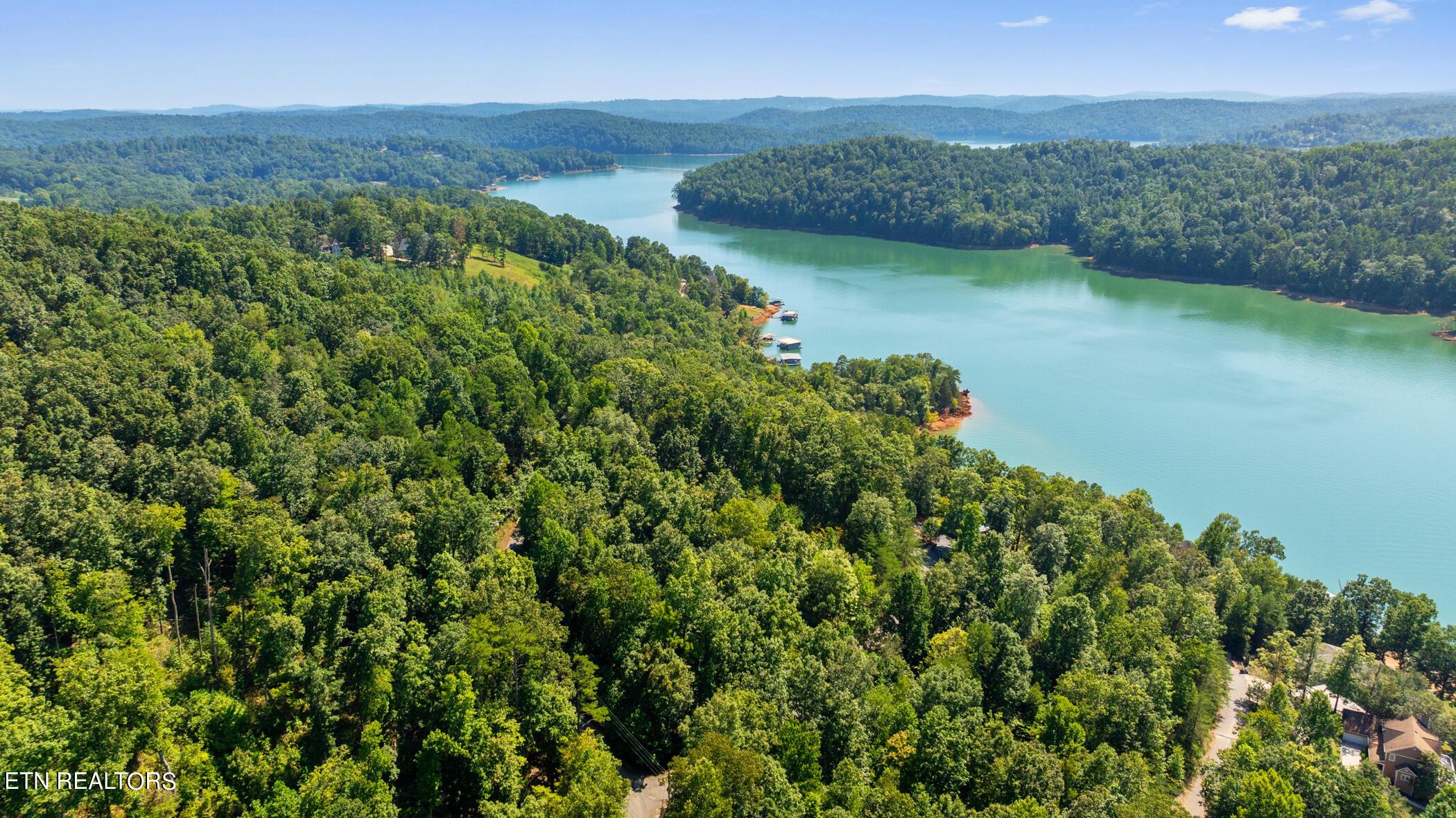 Norris Lake Real Estate - Image# 5