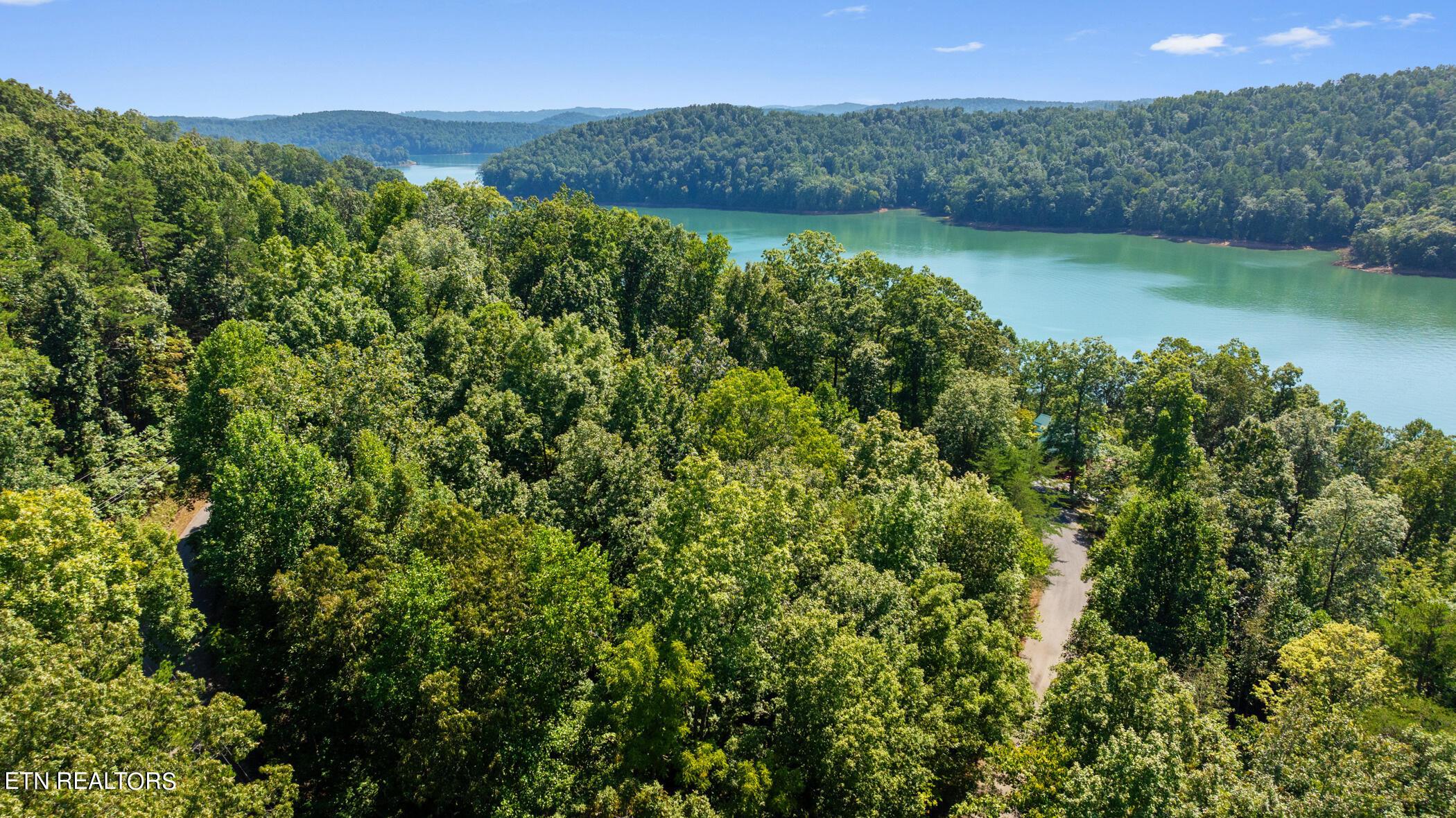 Norris Lake Real Estate - Image# 10