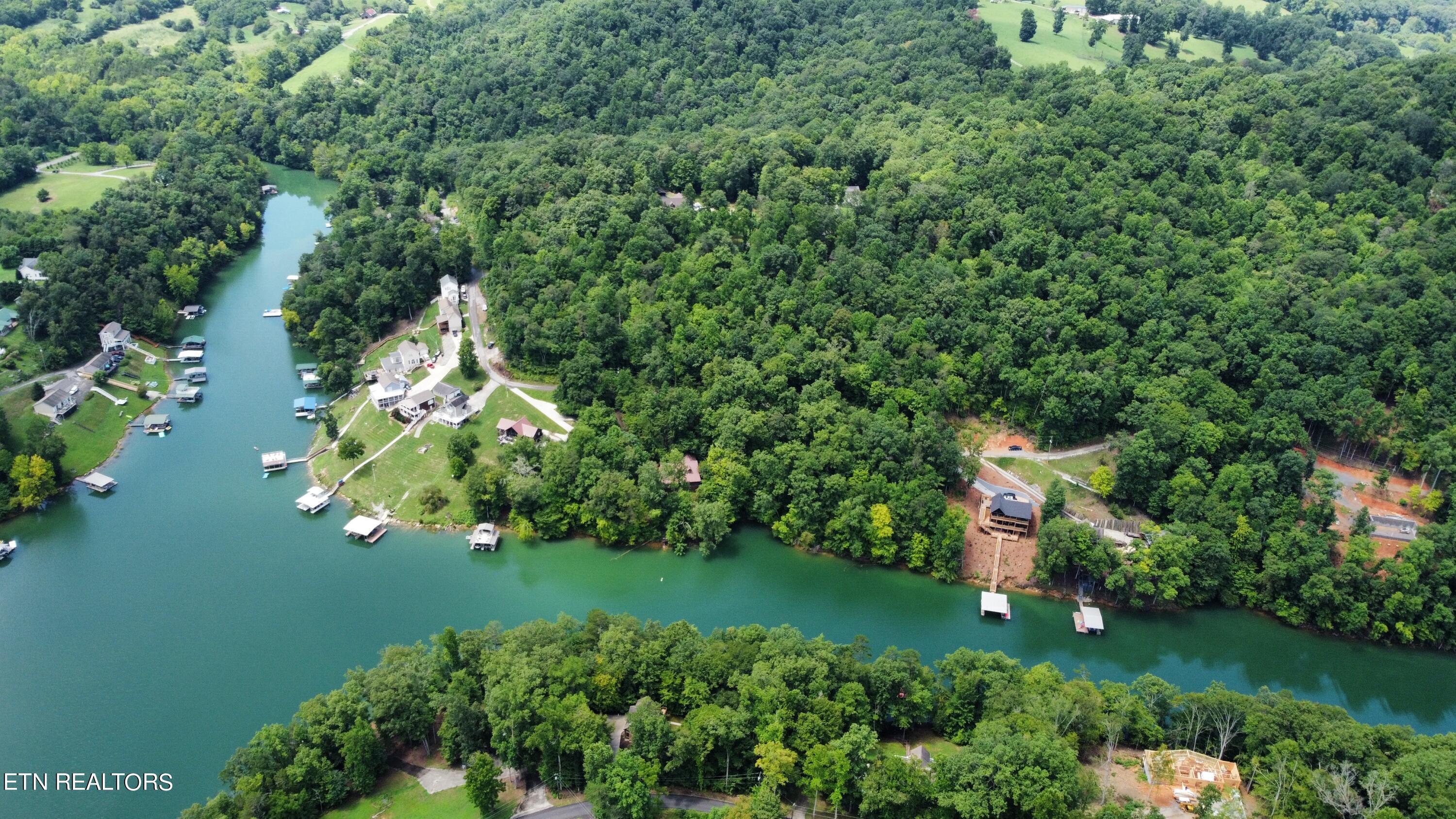 Norris Lake Real Estate - Image# 51