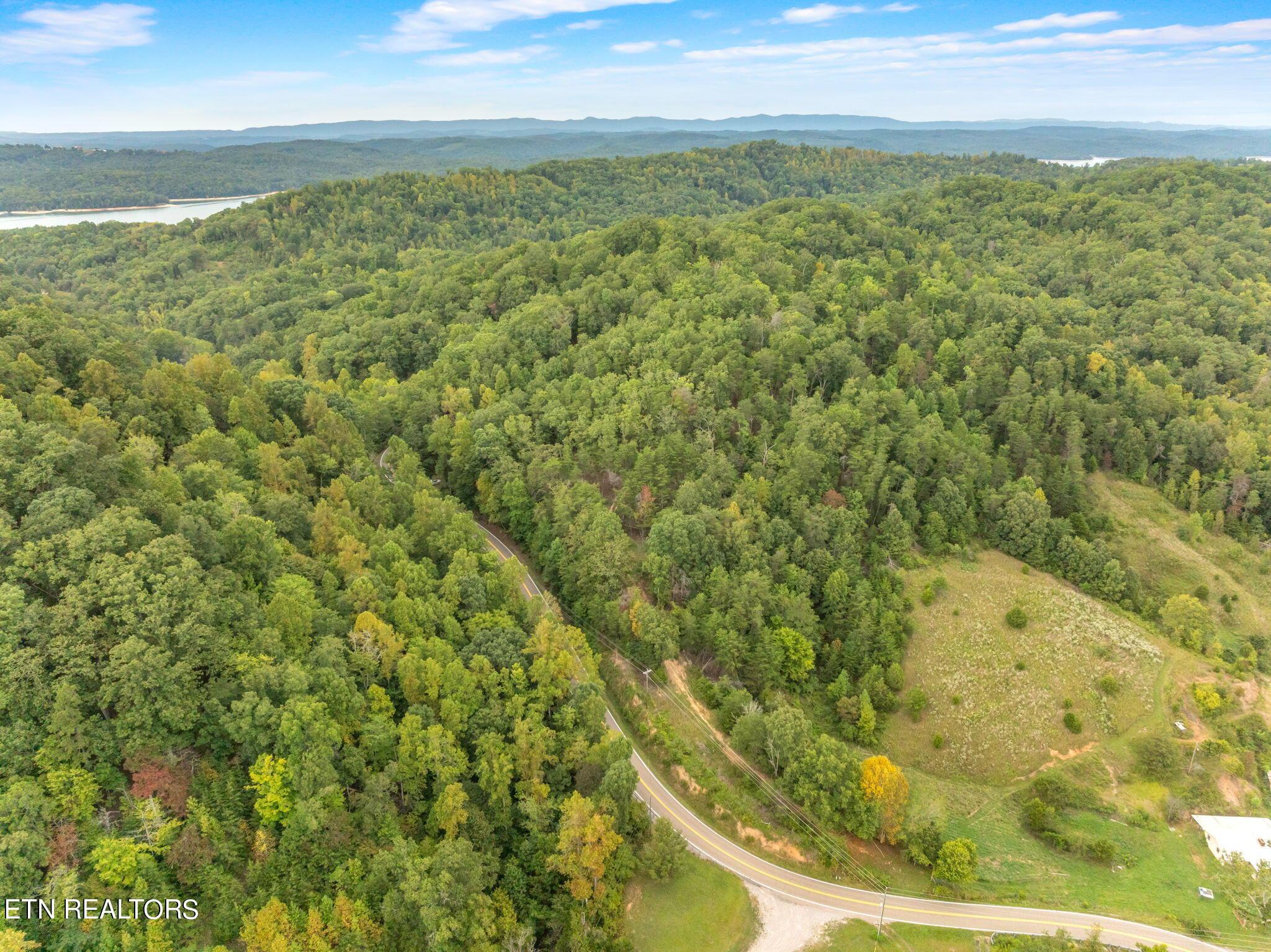 Norris Lake Real Estate - Image# 4