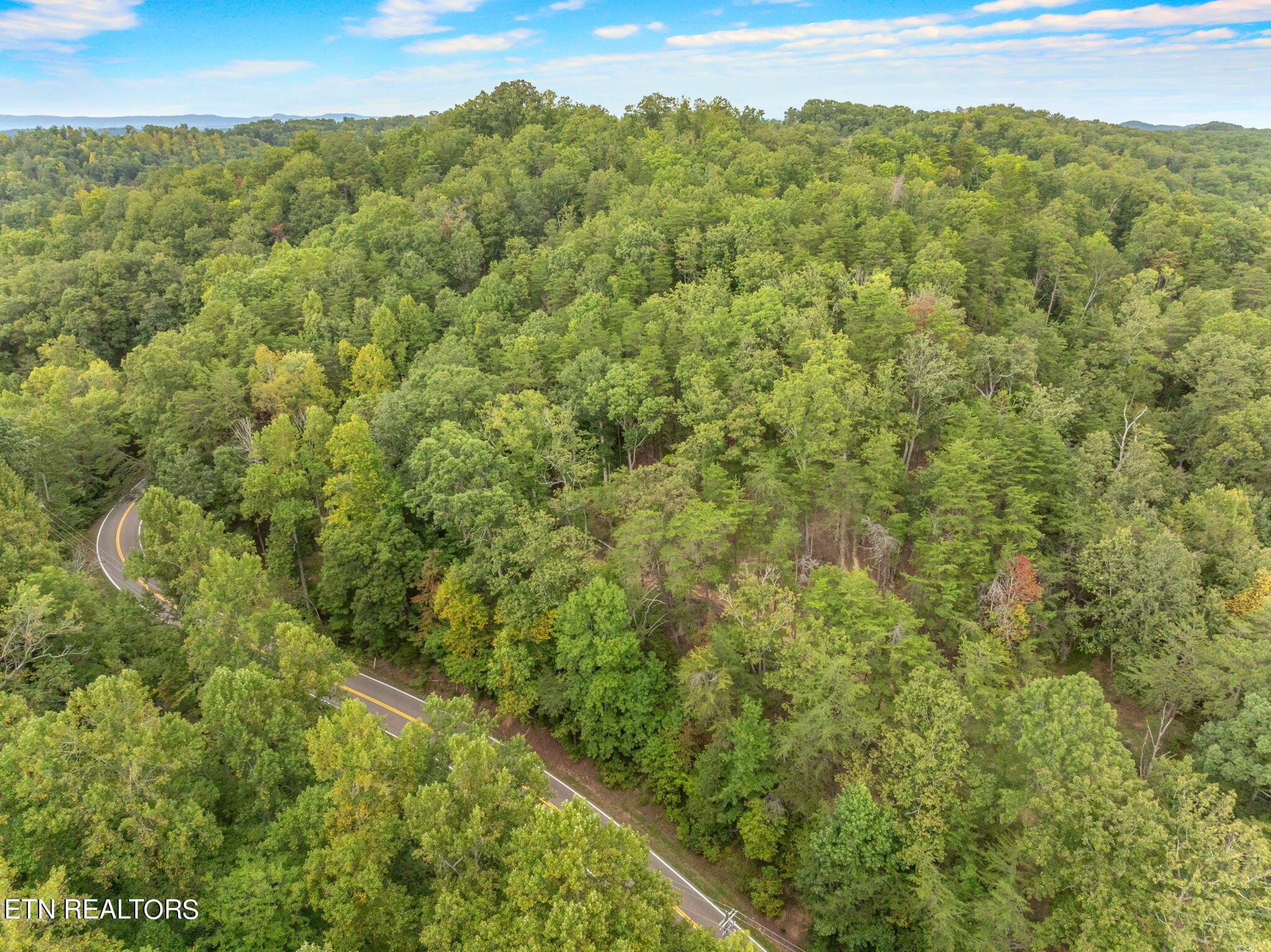 Norris Lake Real Estate - Image# 13