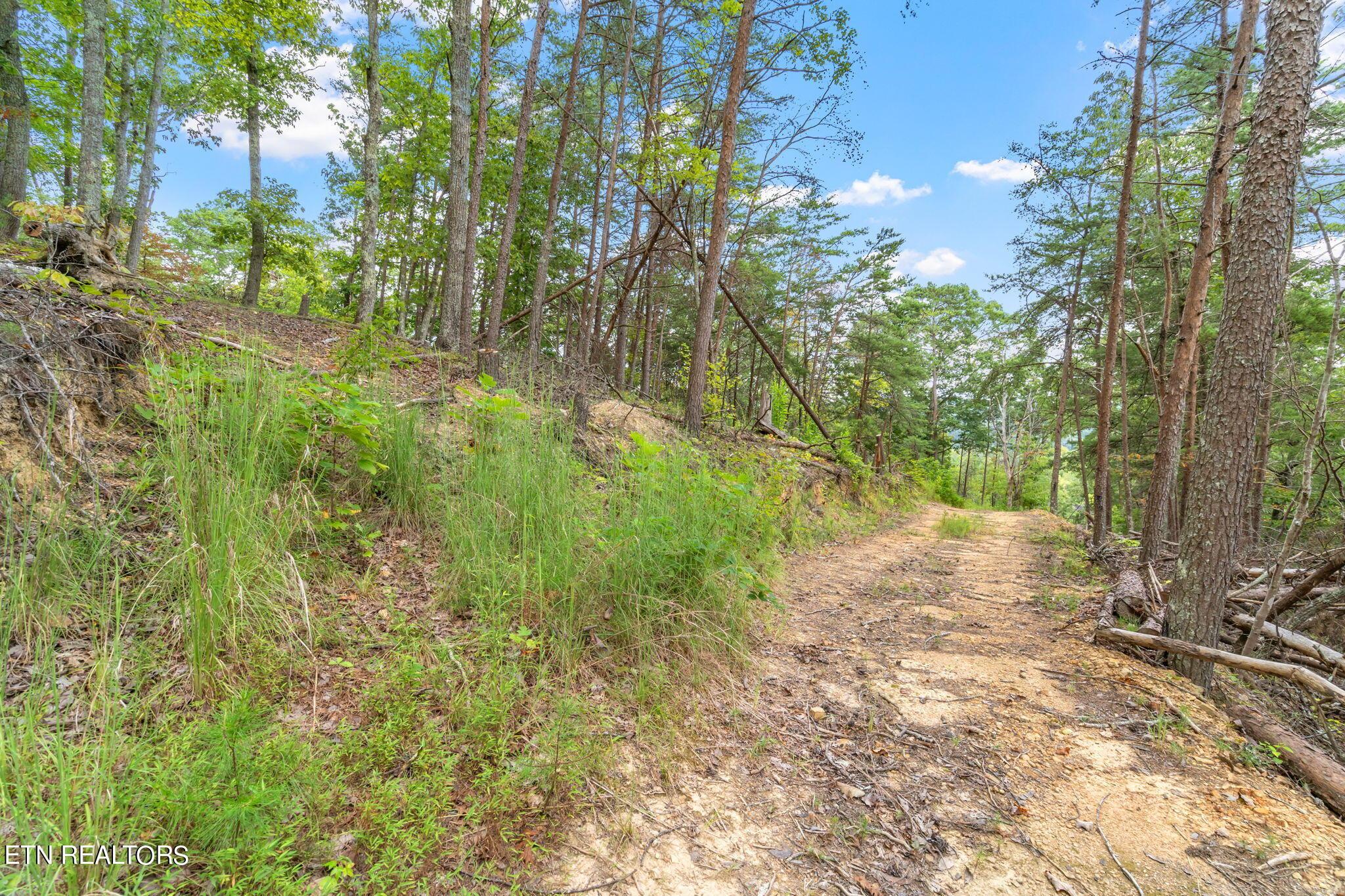 Norris Lake Real Estate - Image# 20