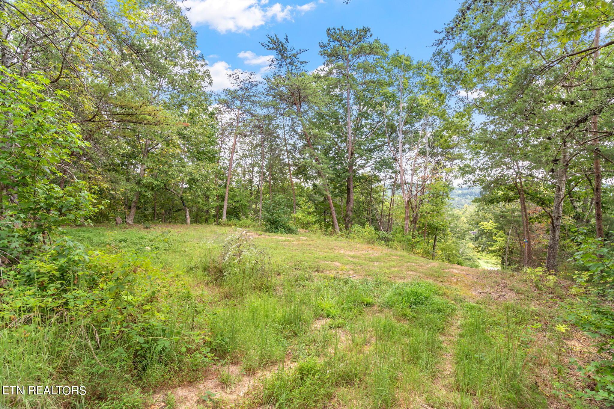 Norris Lake Real Estate - Image# 21