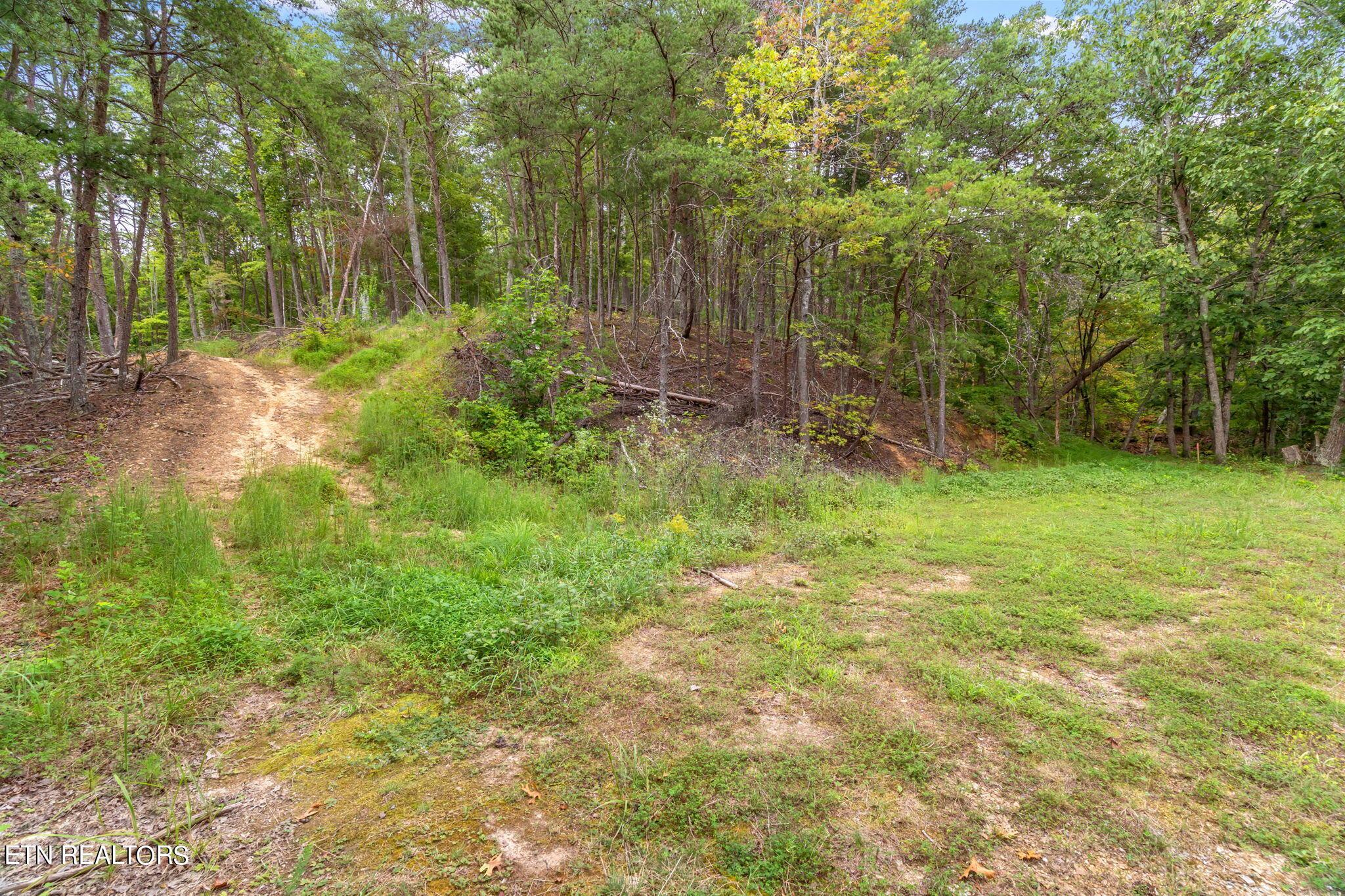 Norris Lake Real Estate - Image# 24