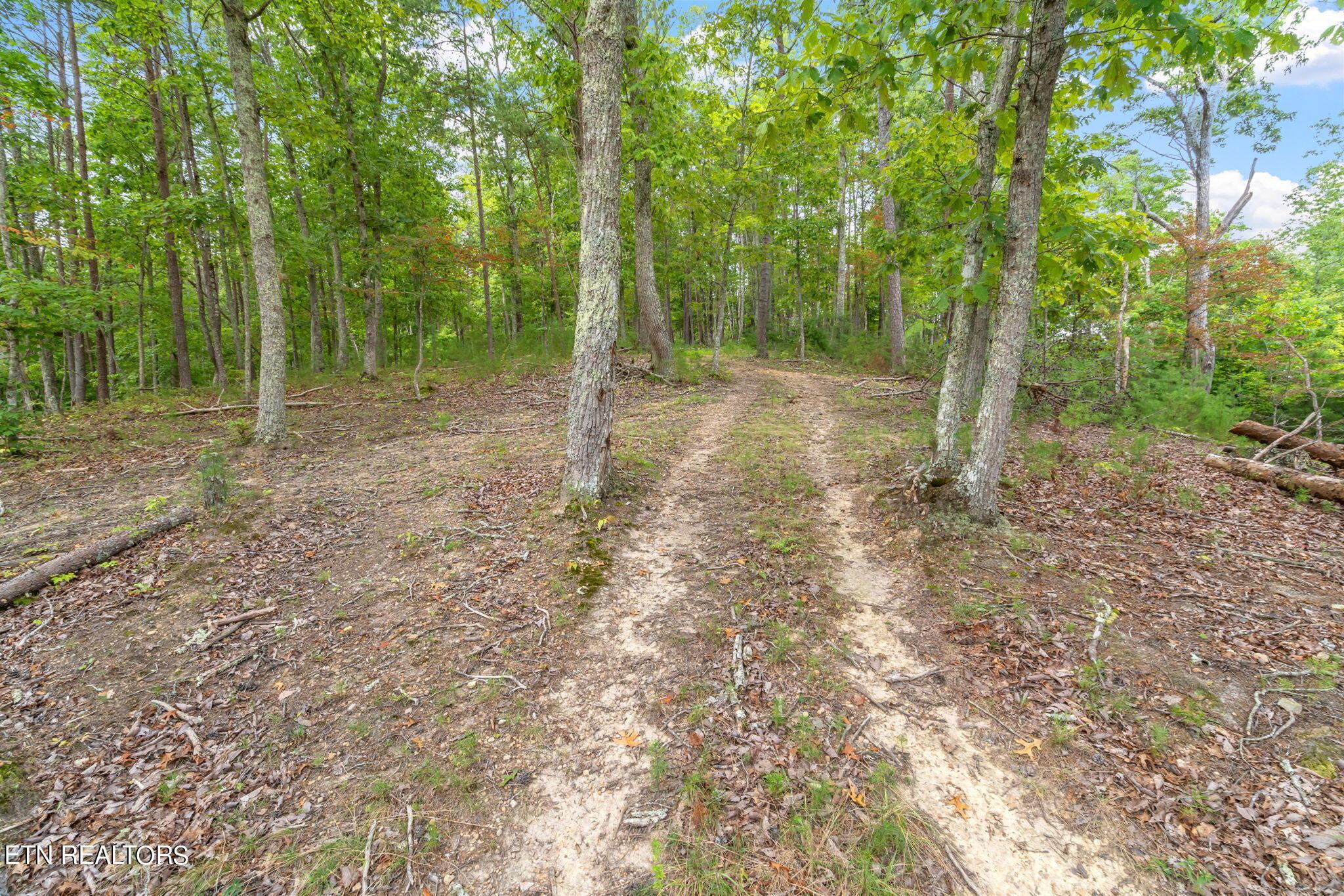 Norris Lake Real Estate - Image# 25