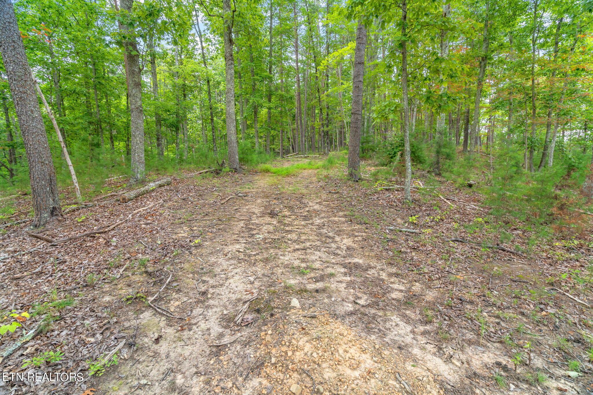 Norris Lake Real Estate - Image# 27