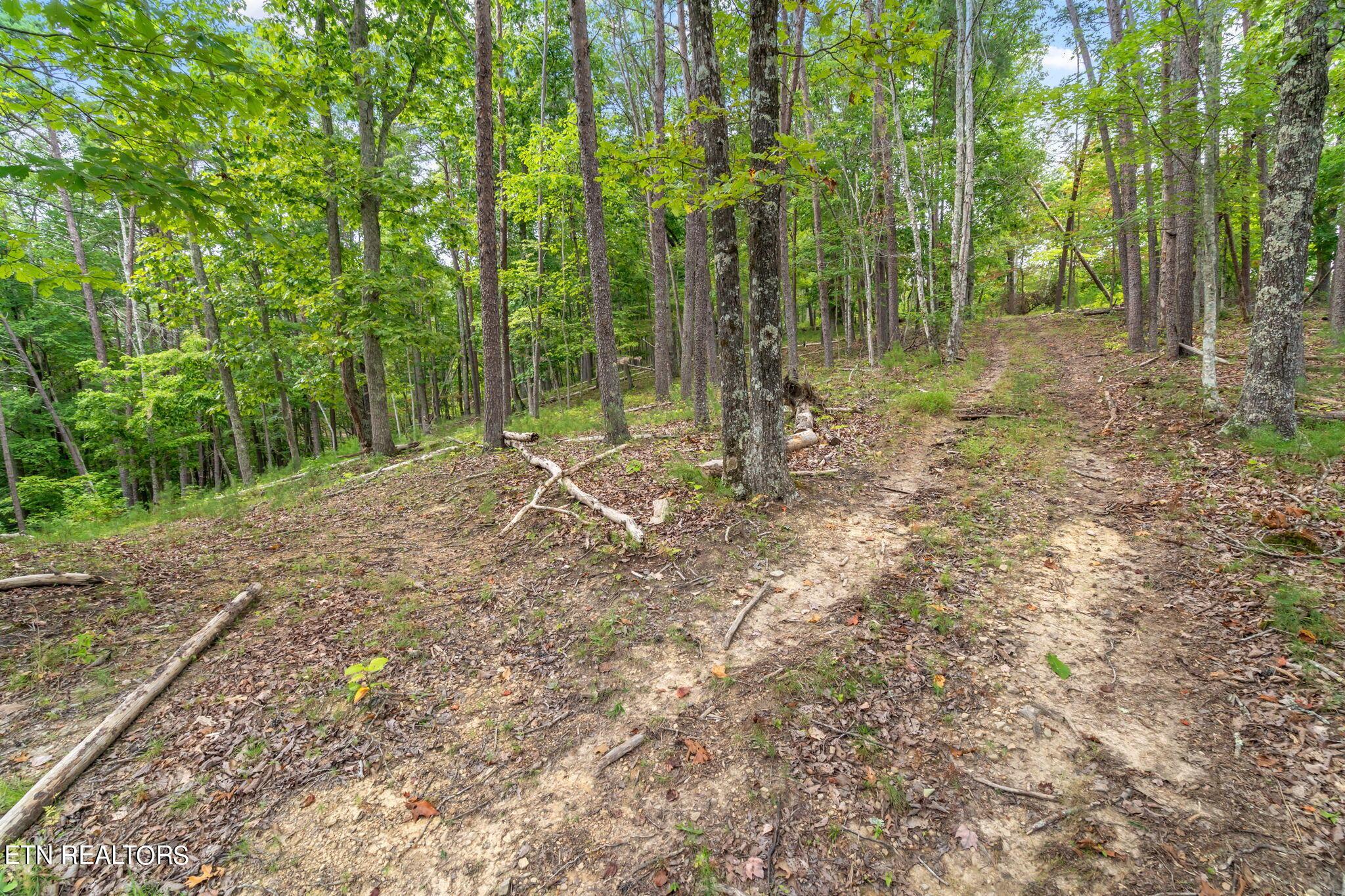 Norris Lake Real Estate - Image# 29