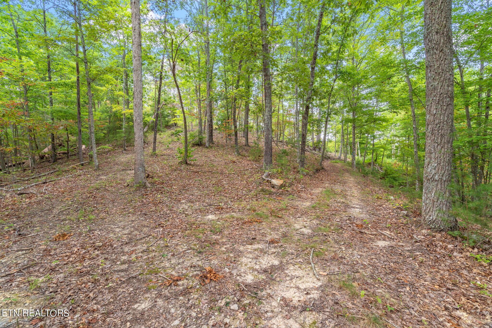 Norris Lake Real Estate - Image# 37