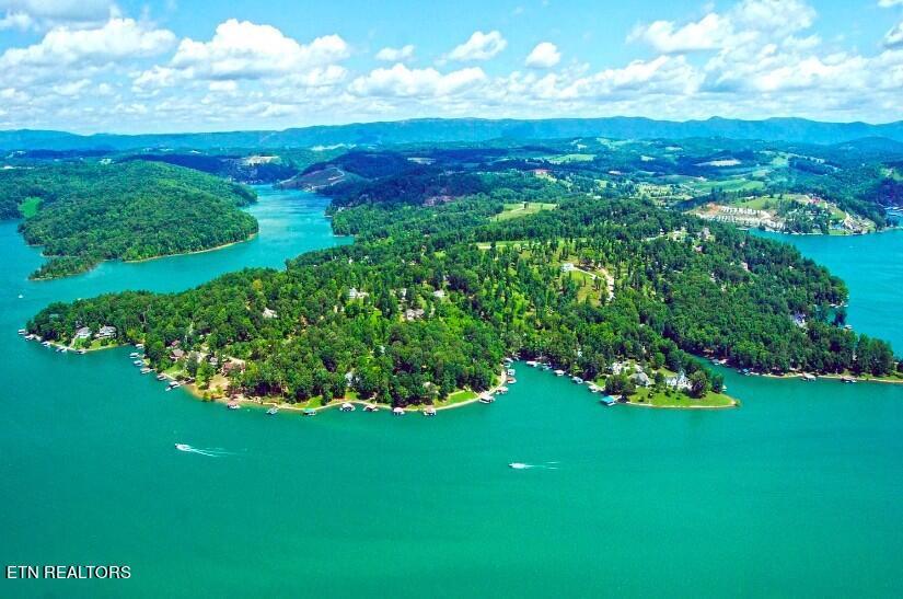 Norris Lake Real Estate - Image# 4