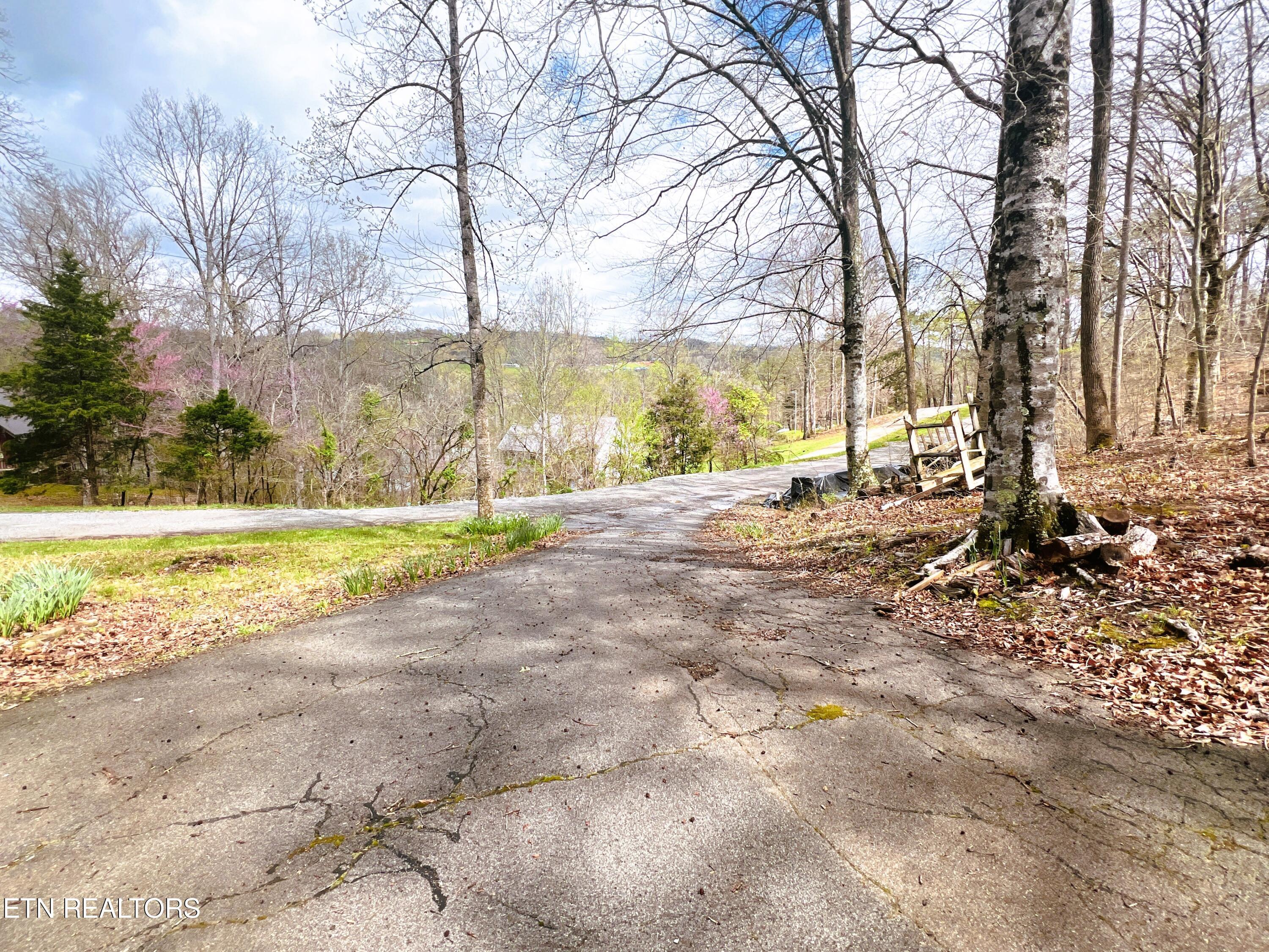 Norris Lake Real Estate - Image# 20