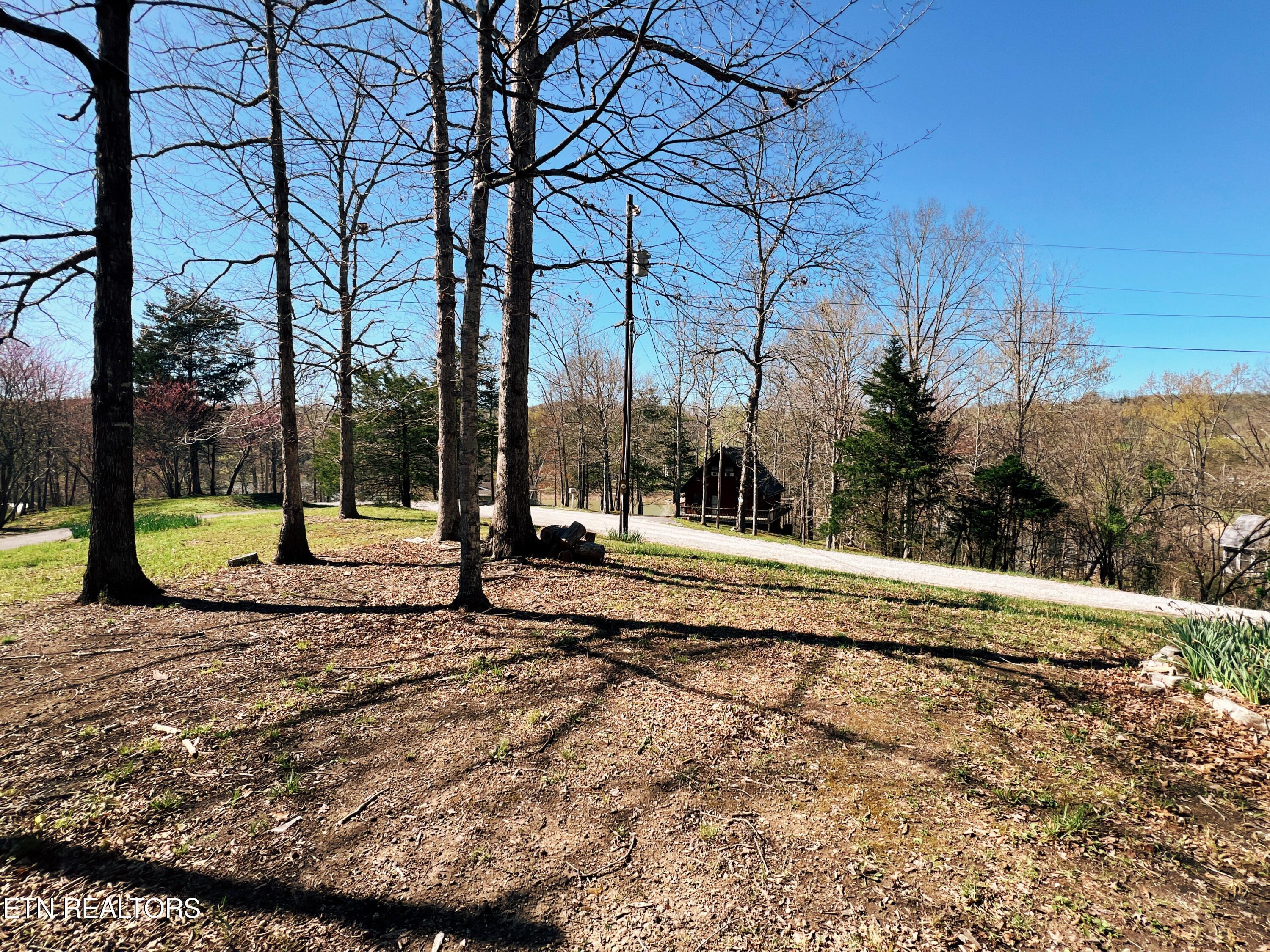 Norris Lake Real Estate - Image# 16