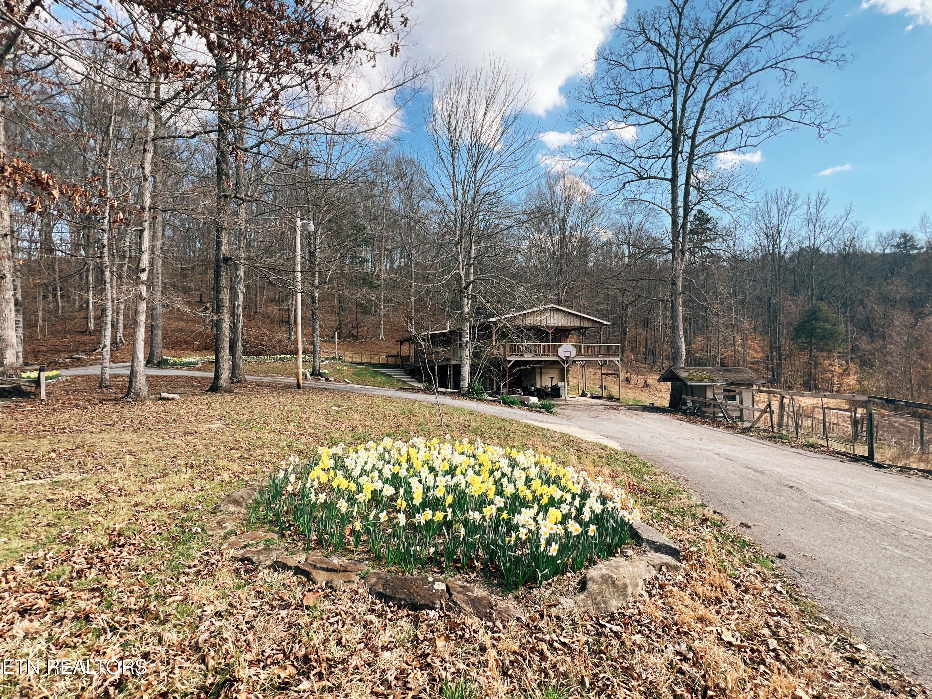 Norris Lake Real Estate - Image# 102