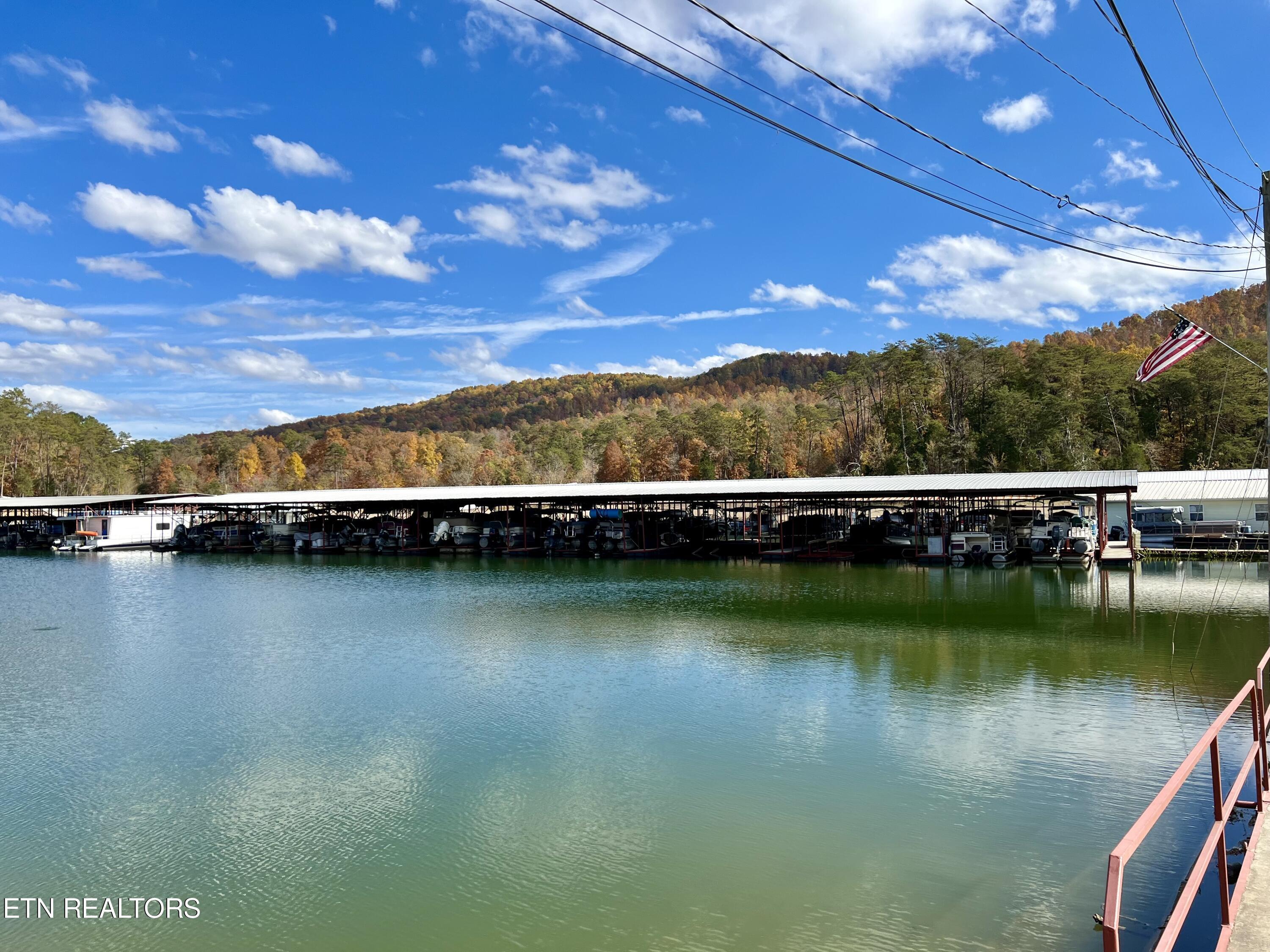 Norris Lake Real Estate - Image# 105