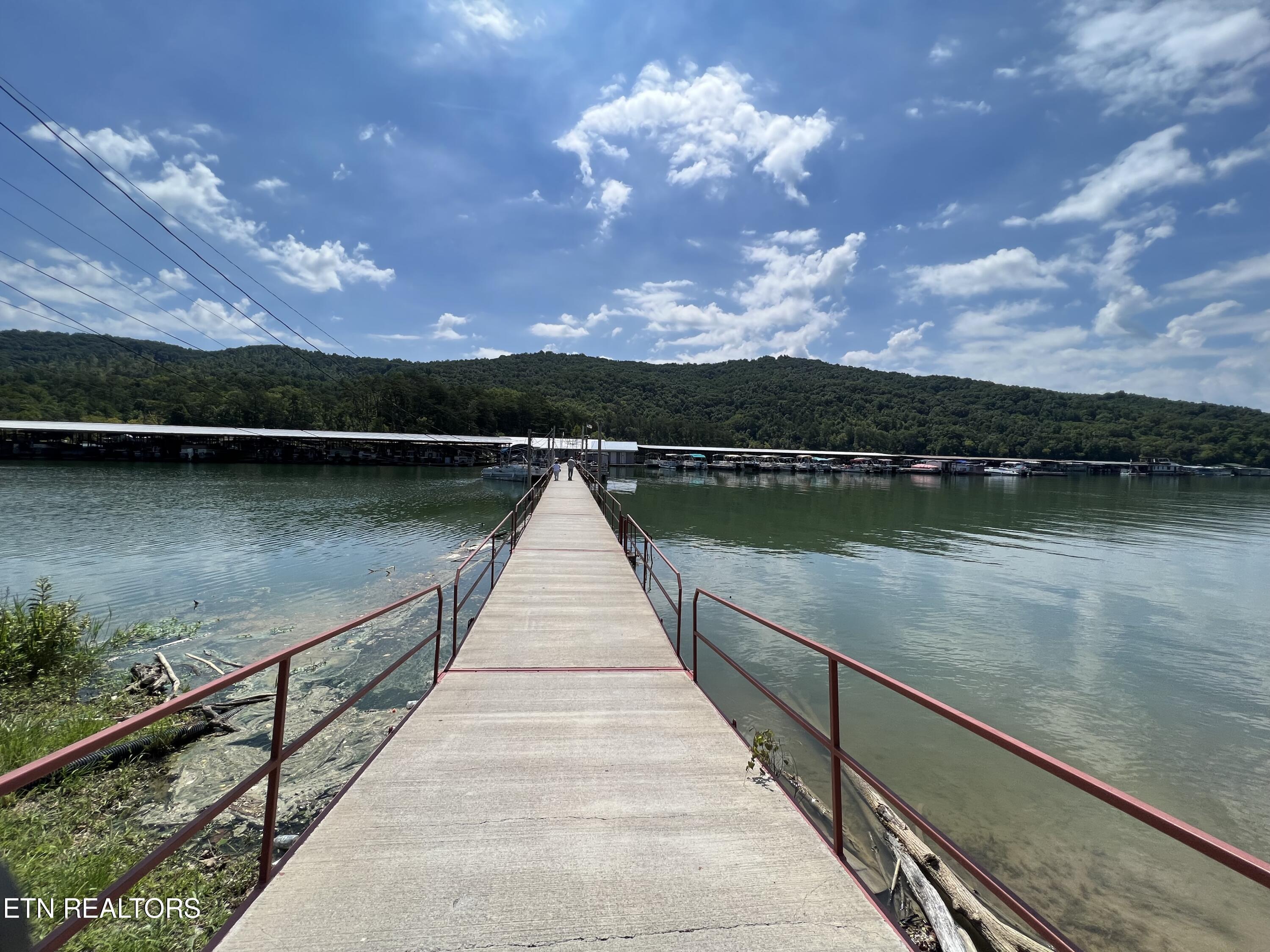 Norris Lake Real Estate - Image# 107