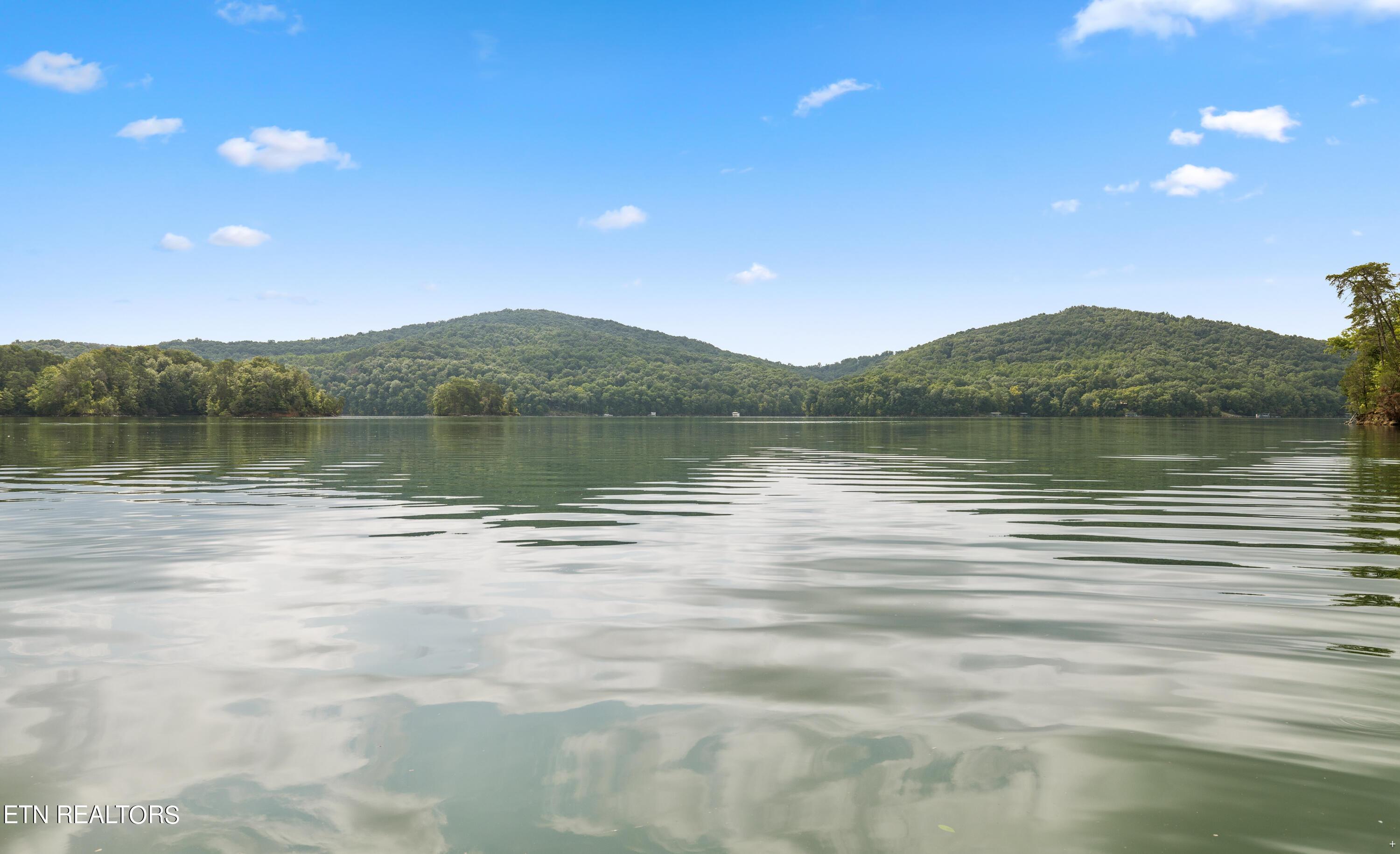 Norris Lake Real Estate - Image# 67