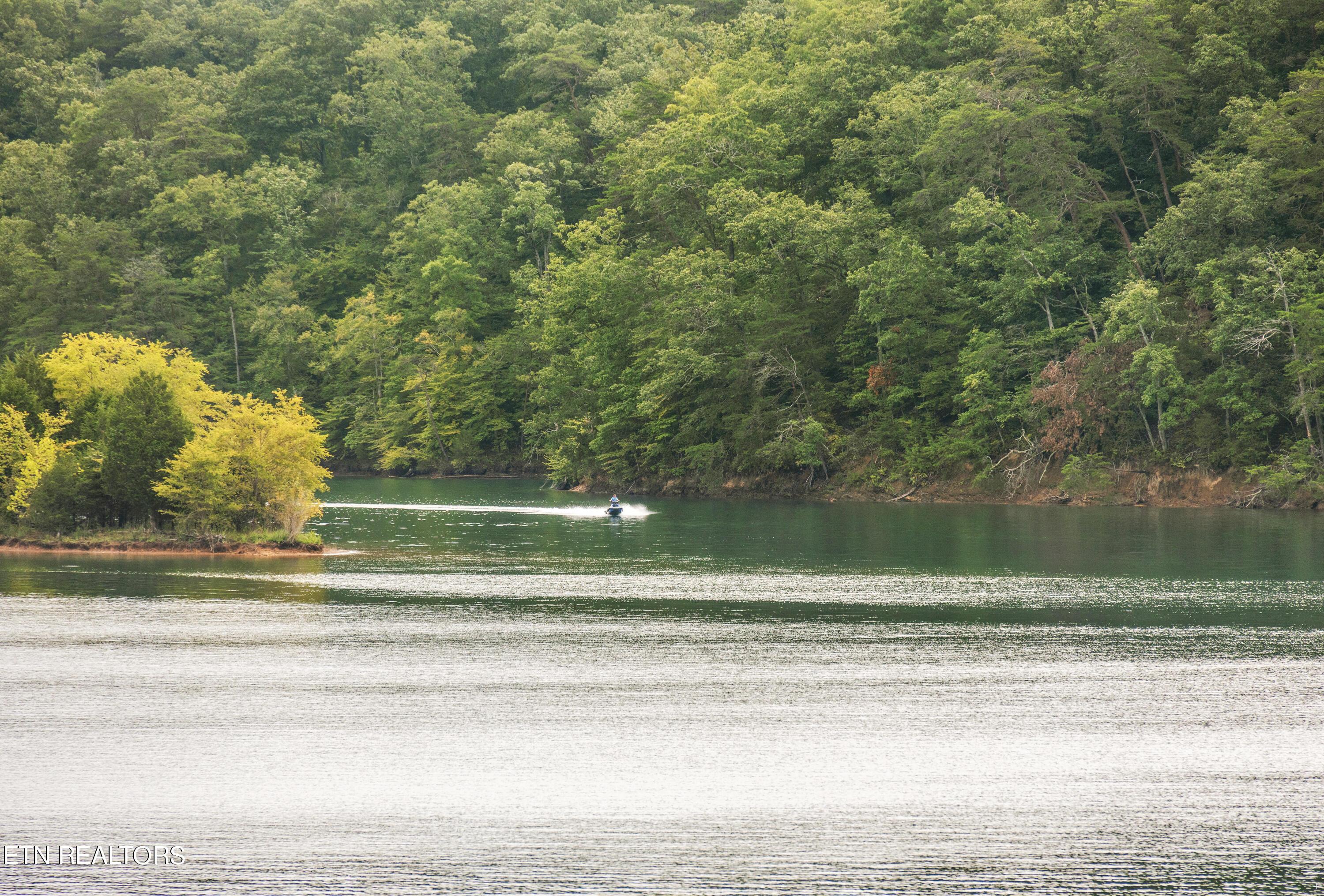 Norris Lake Real Estate - Image# 100