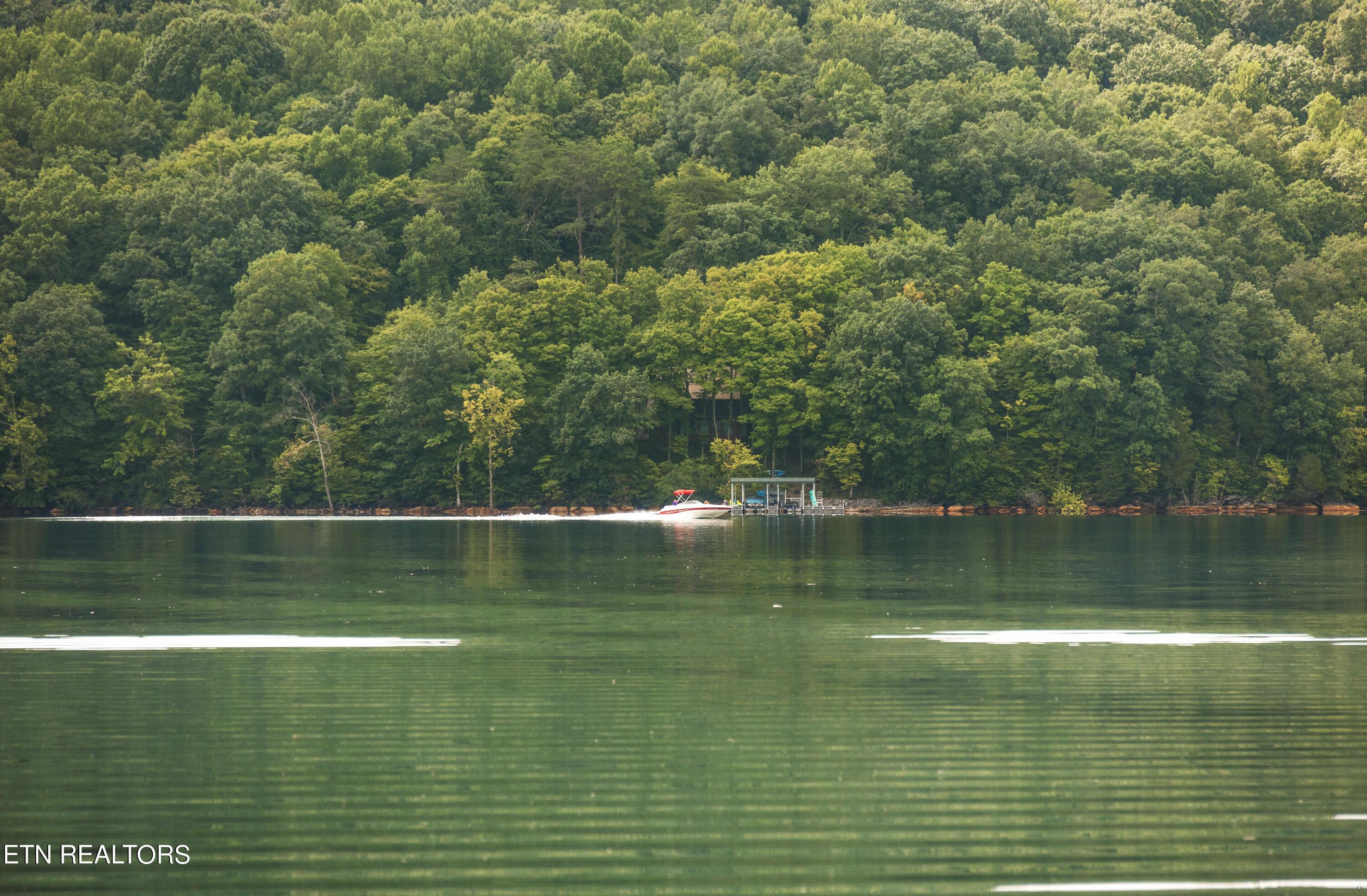 Norris Lake Real Estate - Image# 70