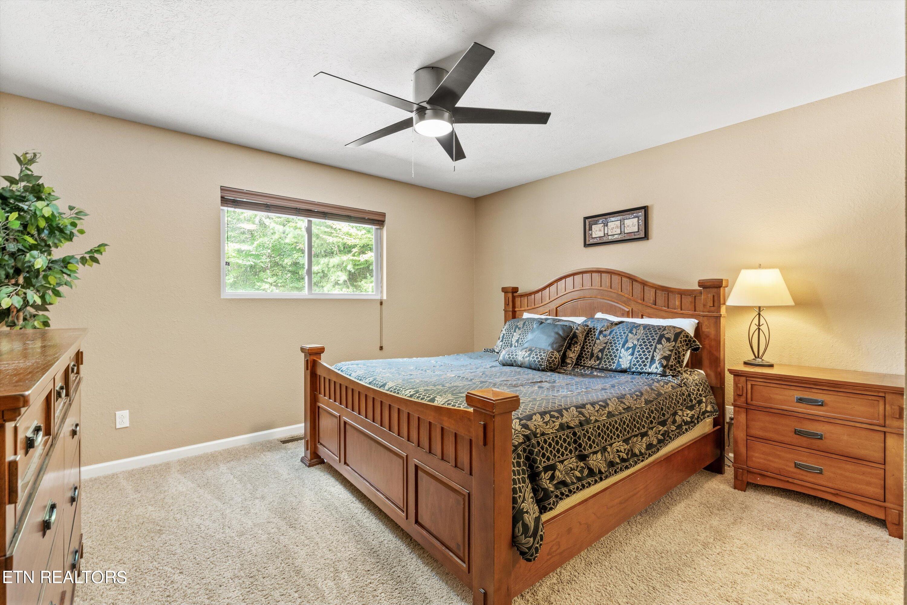 Norris Lake Real Estate - Image# 13