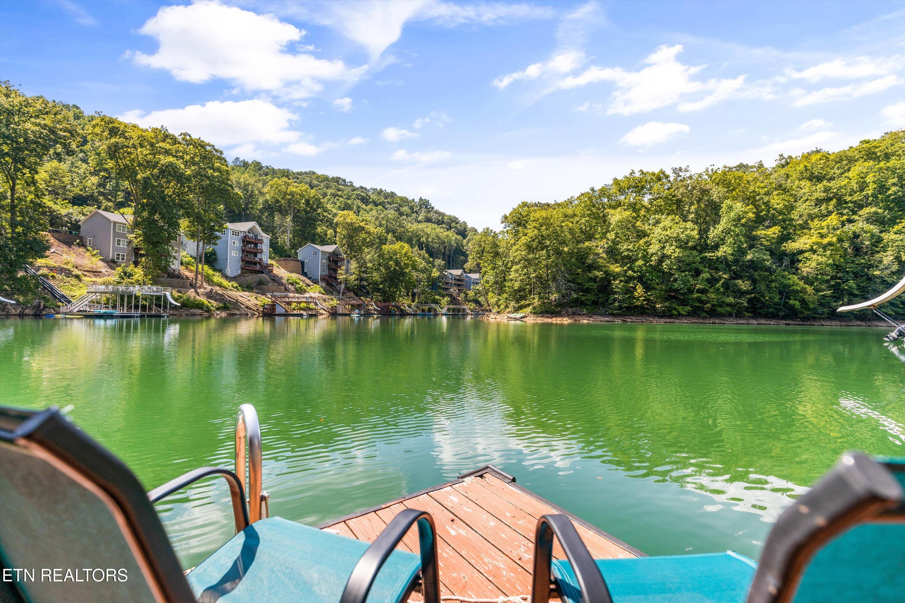 Norris Lake Real Estate - Image# 49