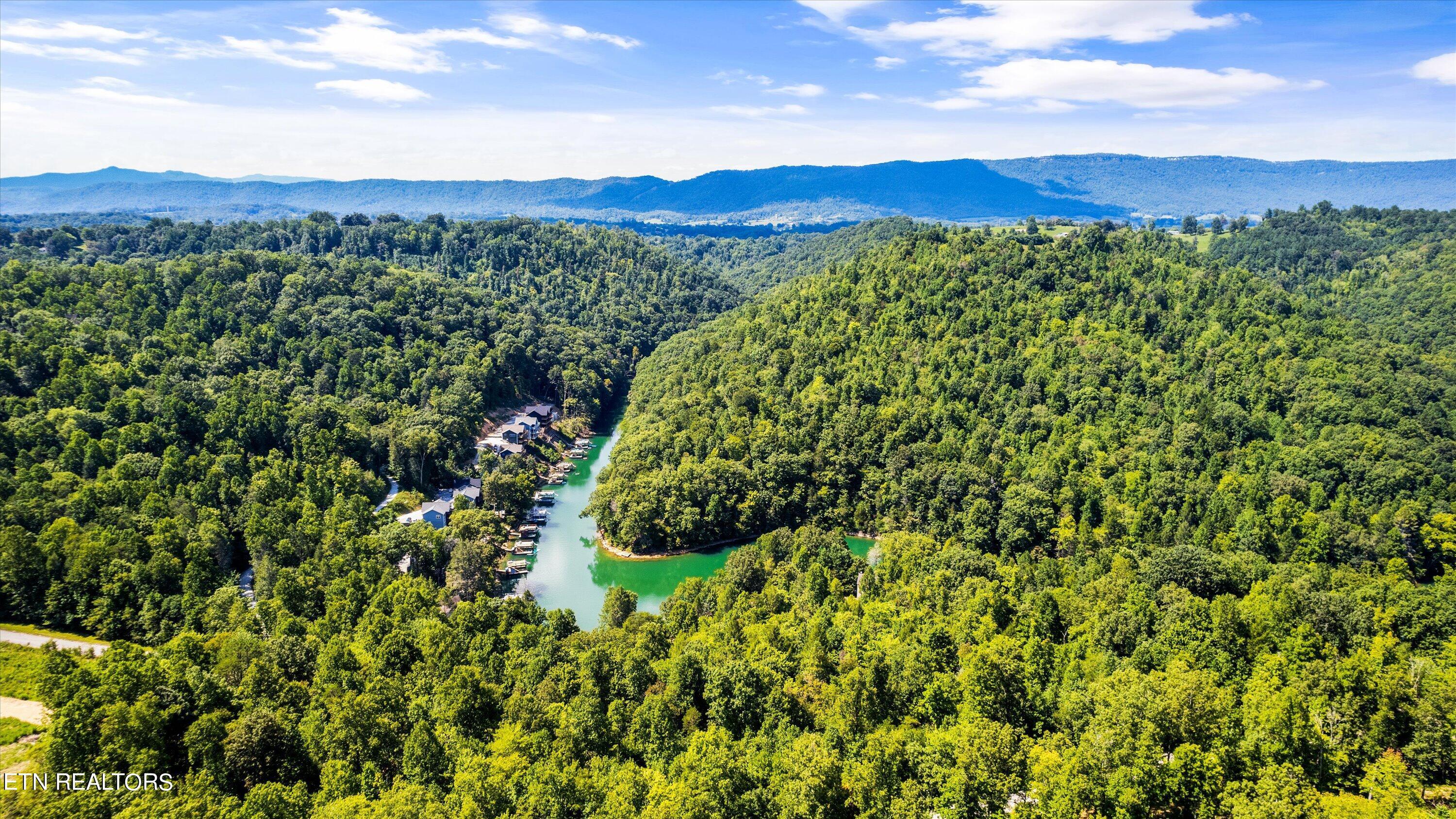 Norris Lake Real Estate - Image# 69