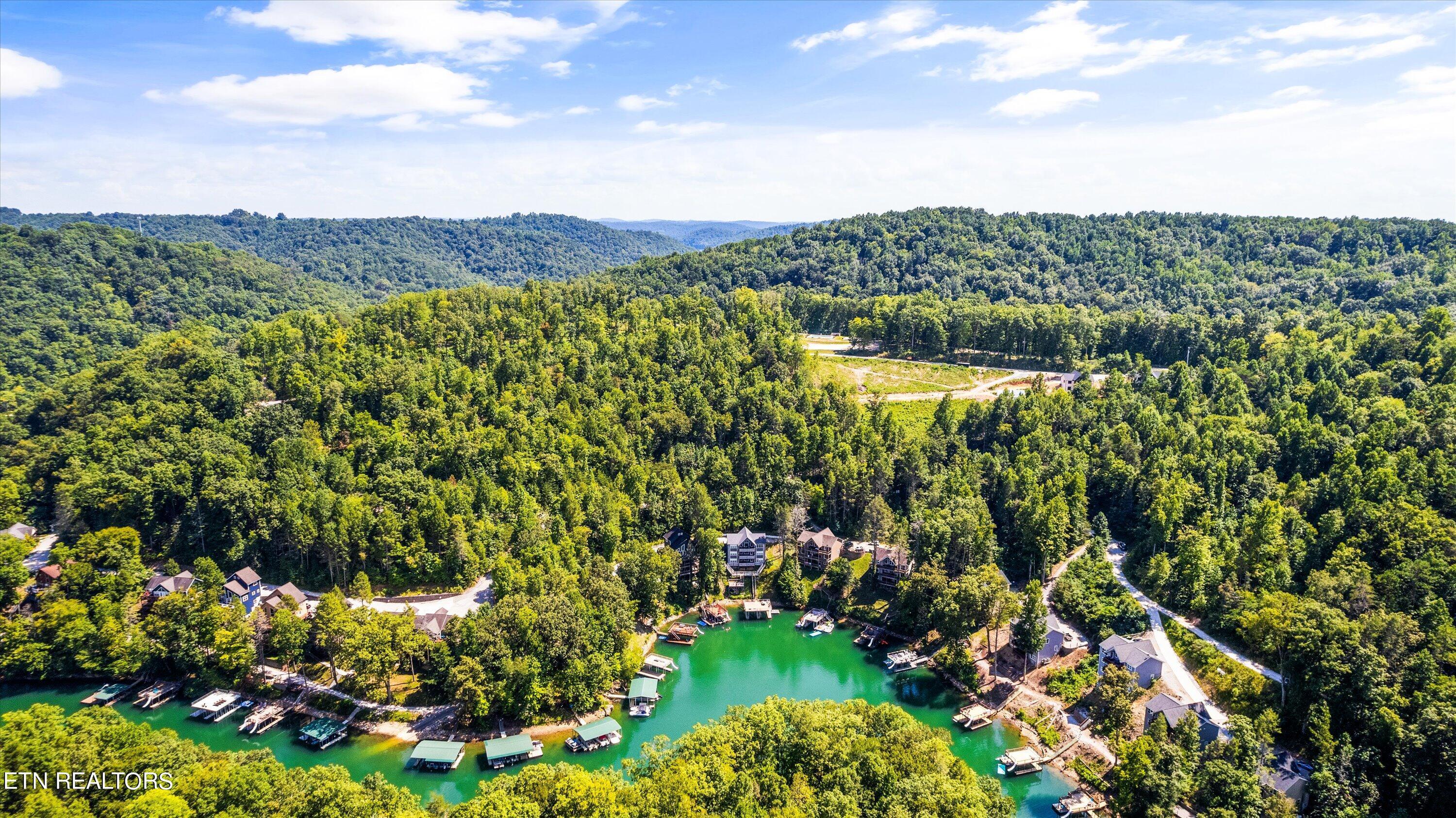 Norris Lake Real Estate - Image# 72