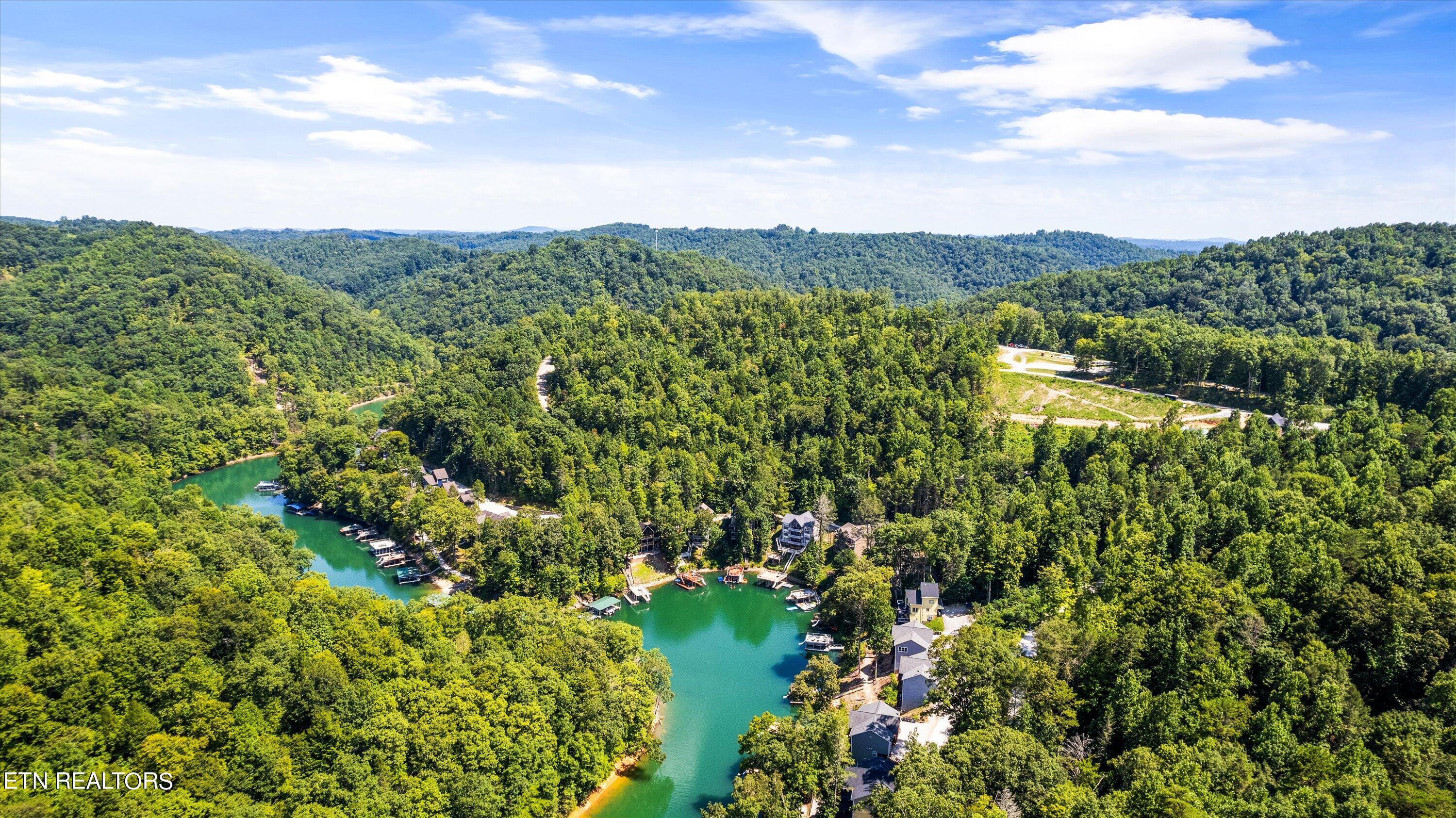 Norris Lake Real Estate - Image# 75