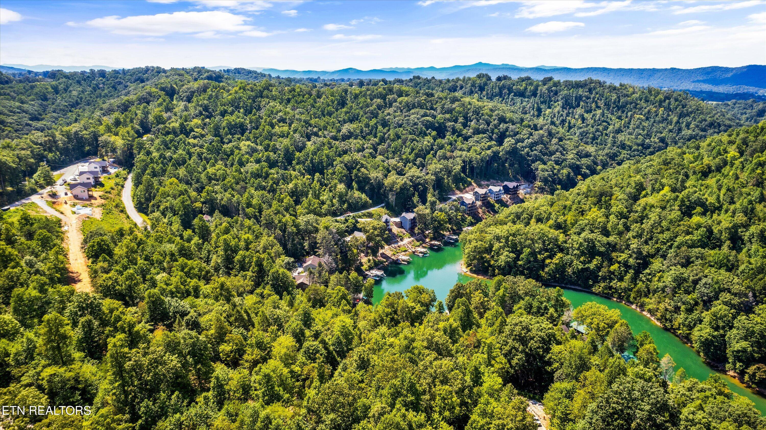 Norris Lake Real Estate - Image# 78