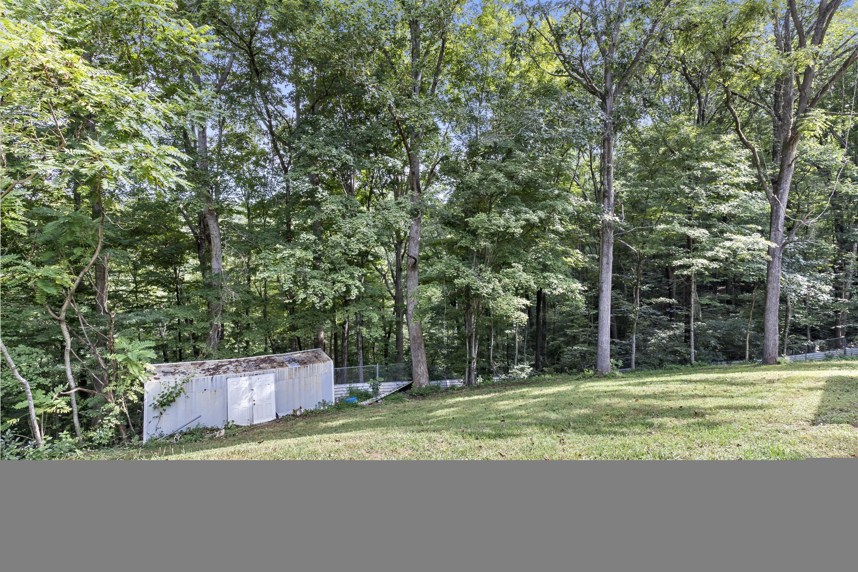 Norris Lake Real Estate - Image# 61