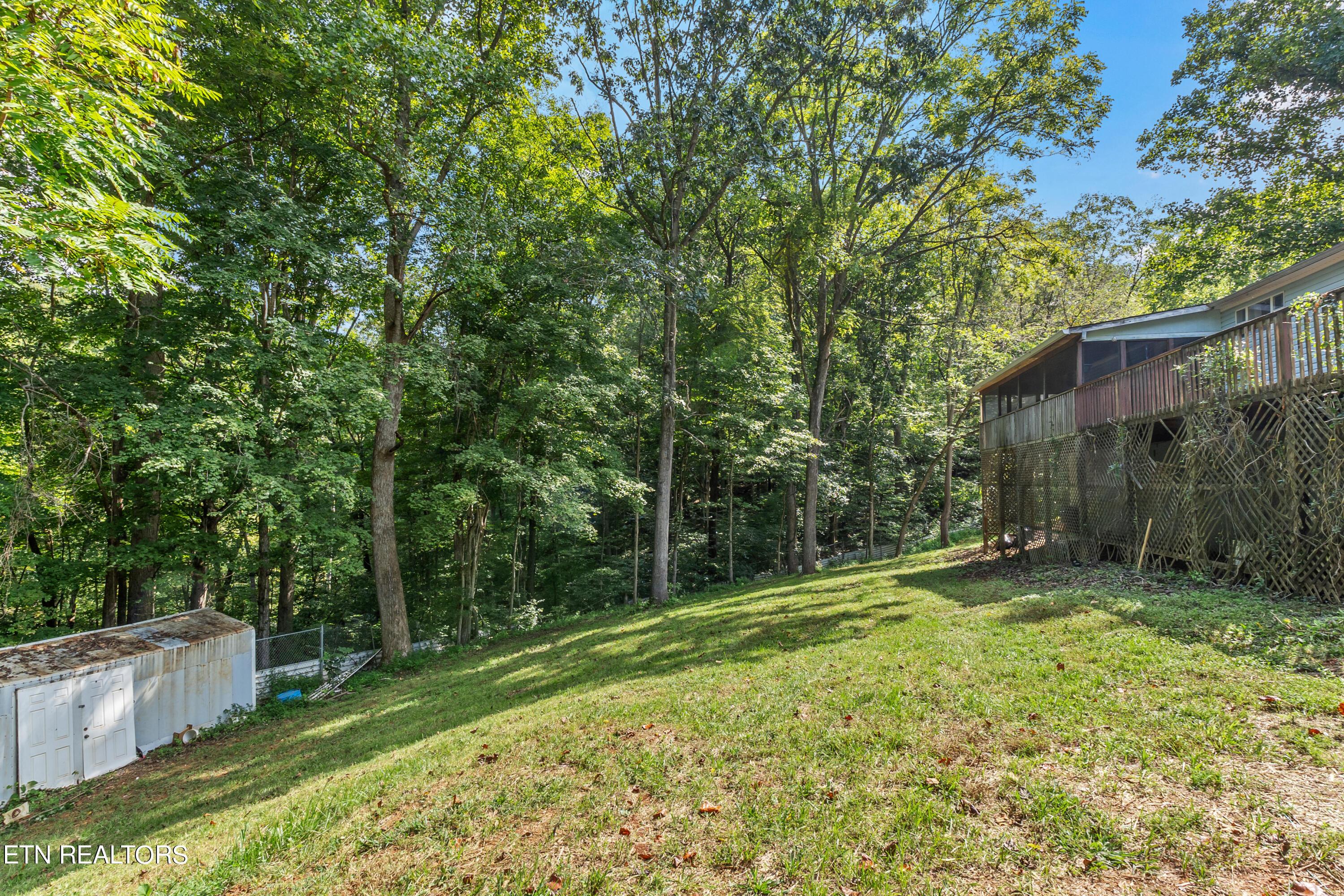 Norris Lake Real Estate - Image# 70