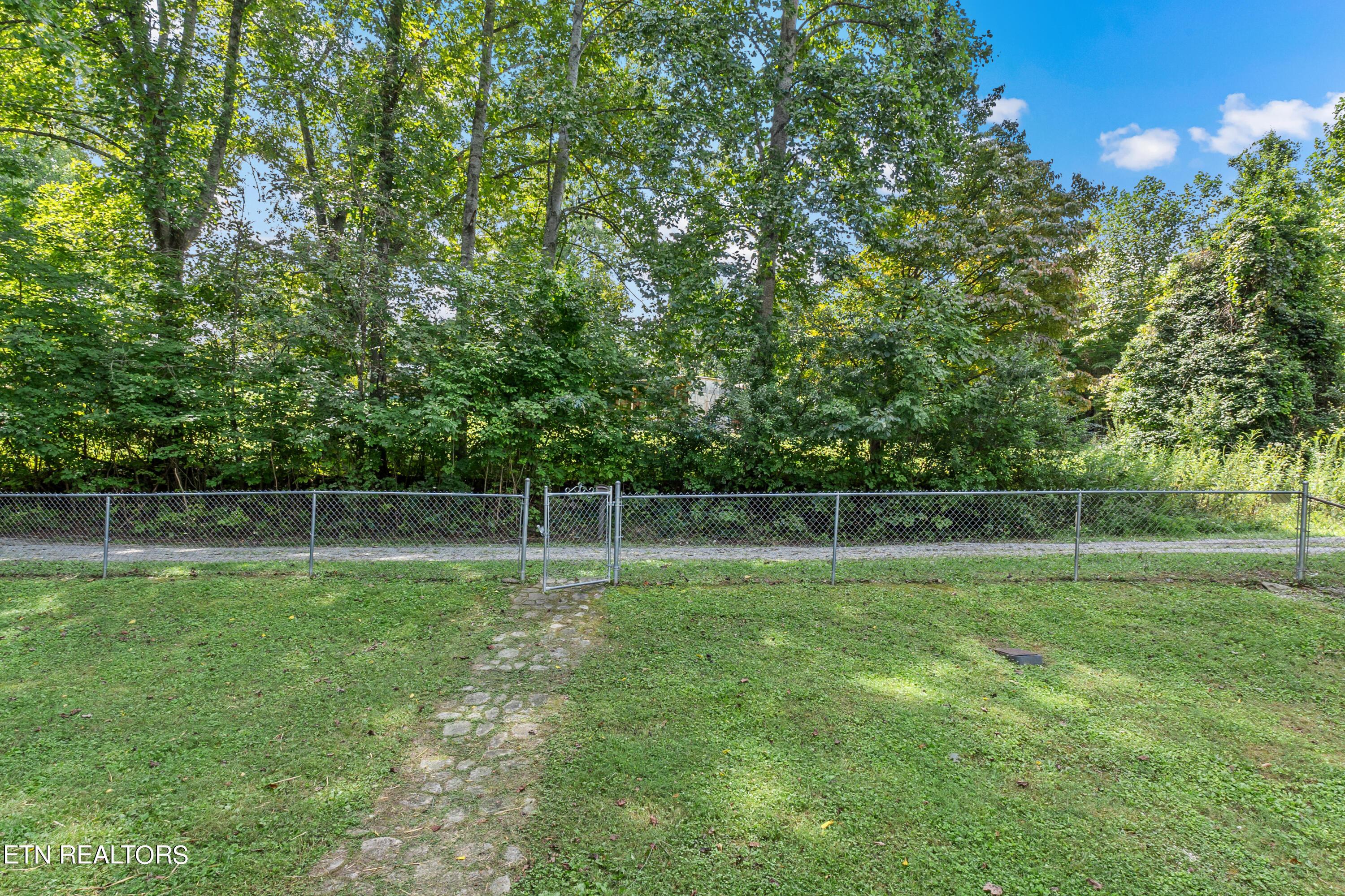 Norris Lake Real Estate - Image# 2