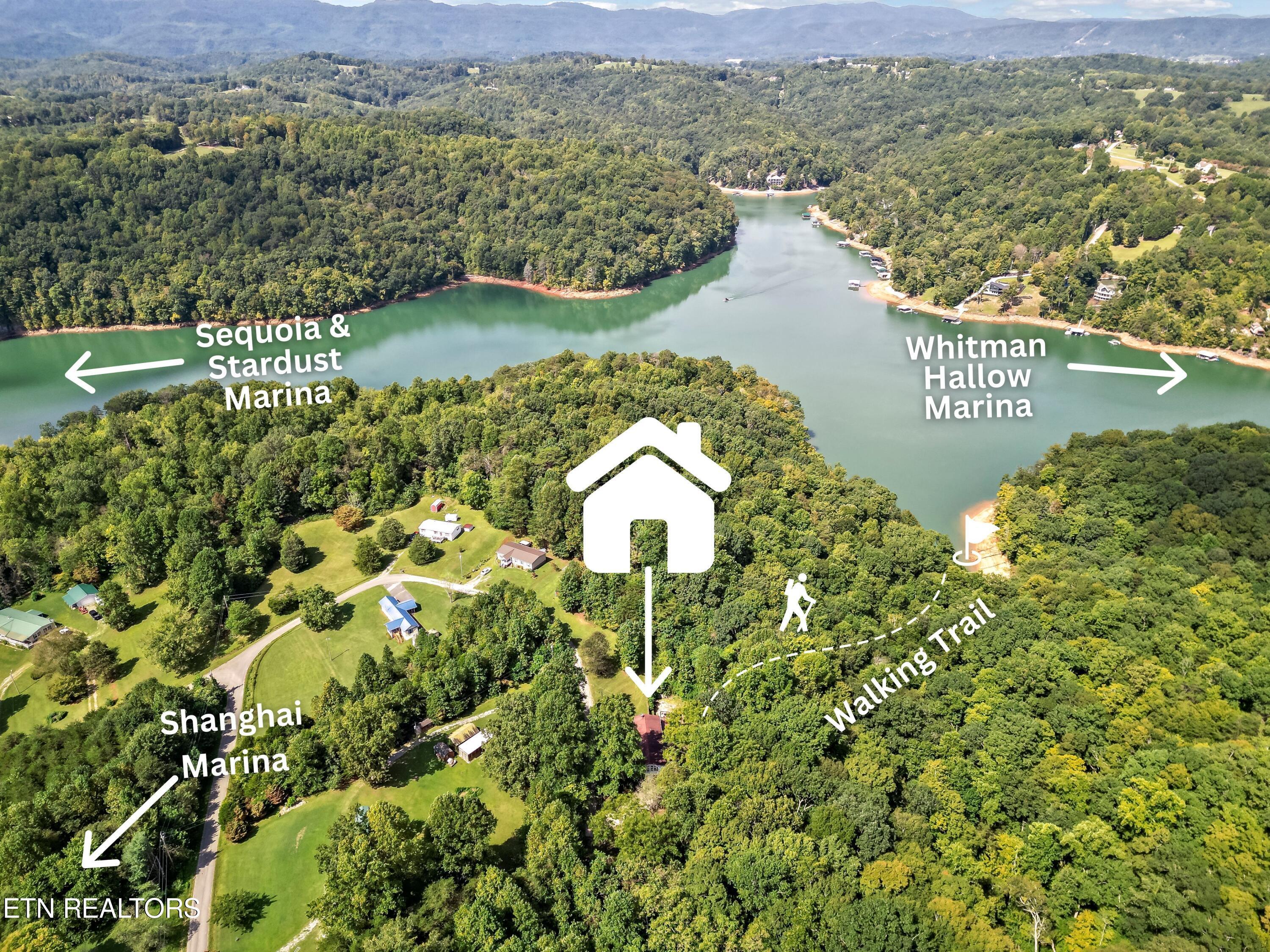 Norris Lake Real Estate - Image# 5