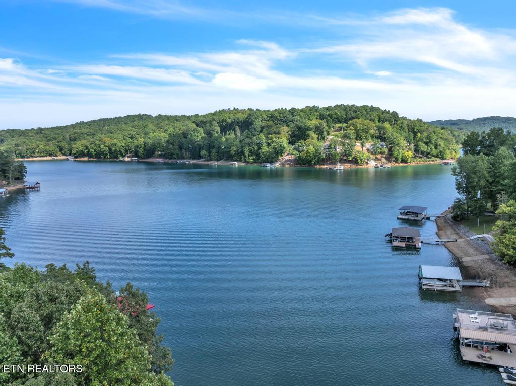 Norris Lake Real Estate - Image# 10