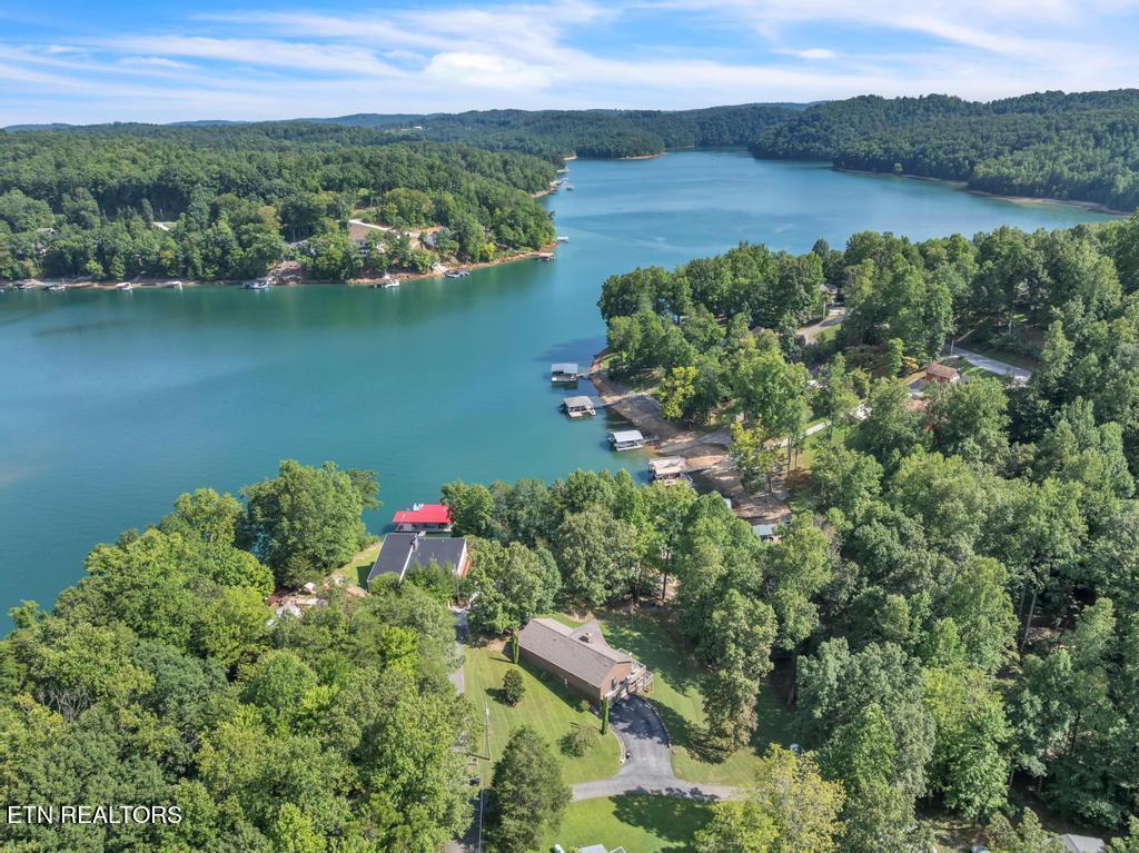 Norris Lake Real Estate - Image# 11