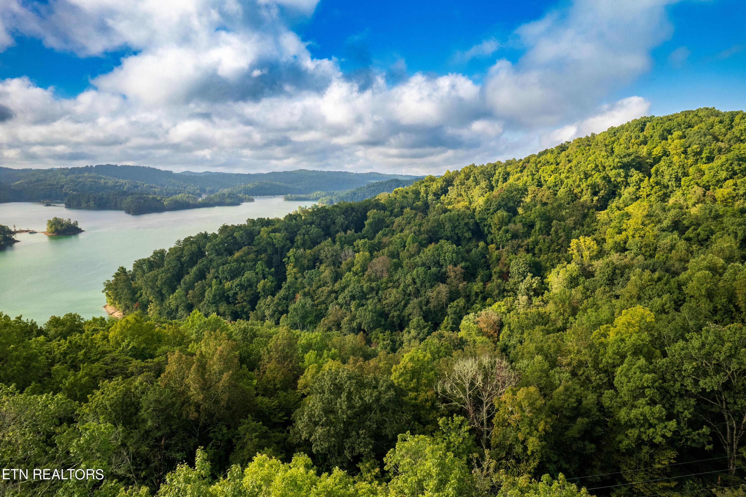 Norris Lake Real Estate - Image# 2