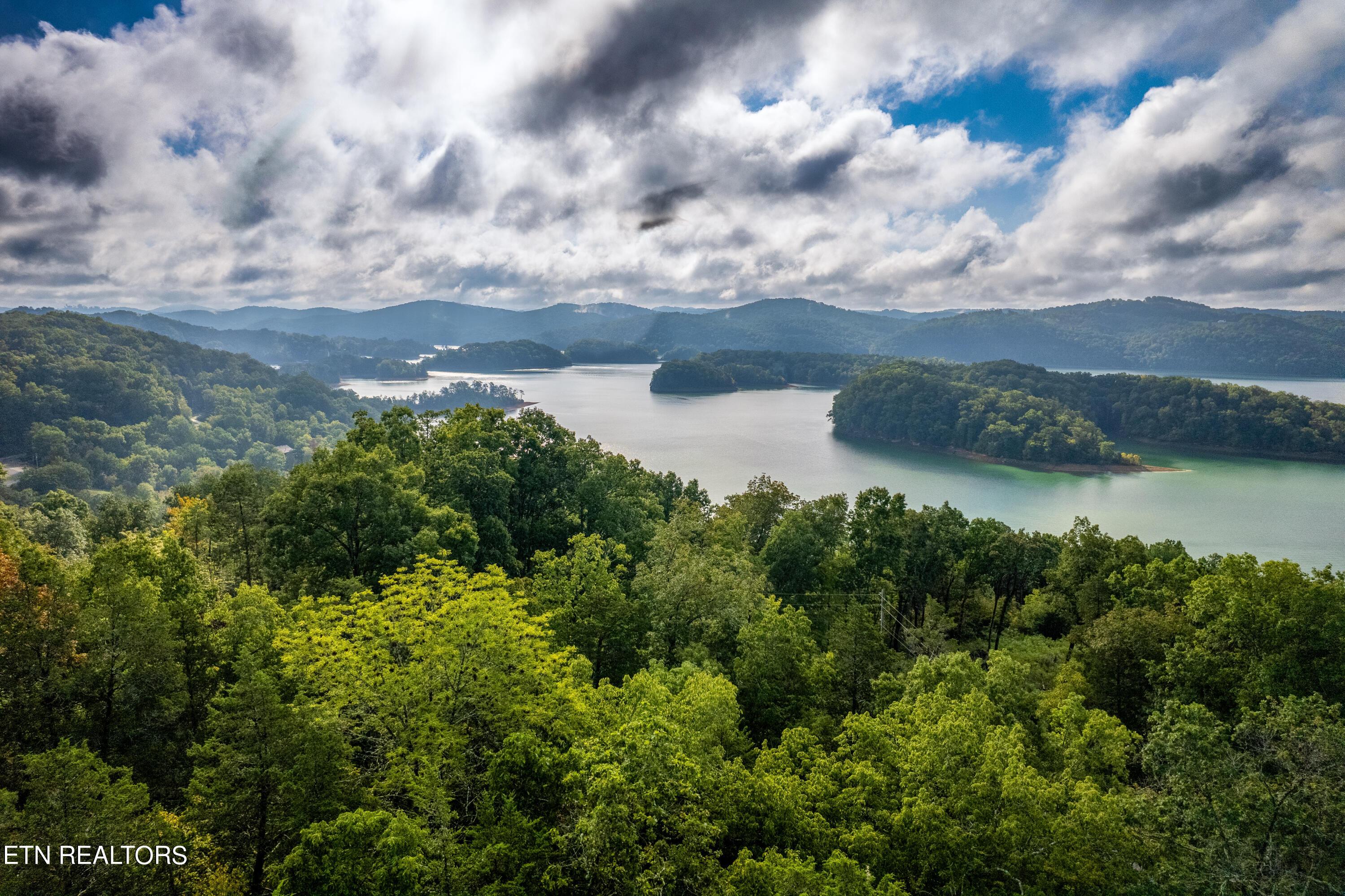 Norris Lake Real Estate - Image# 3