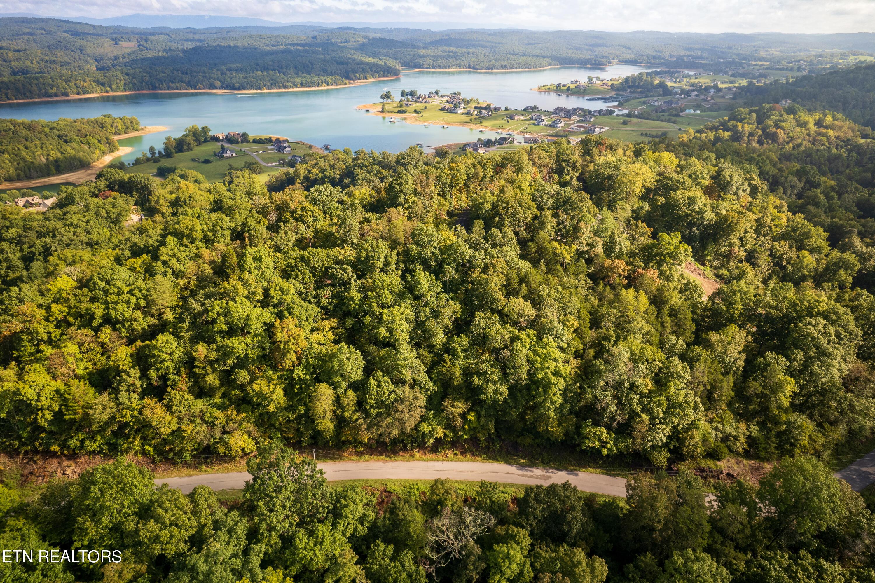 Norris Lake Real Estate - Image# 4