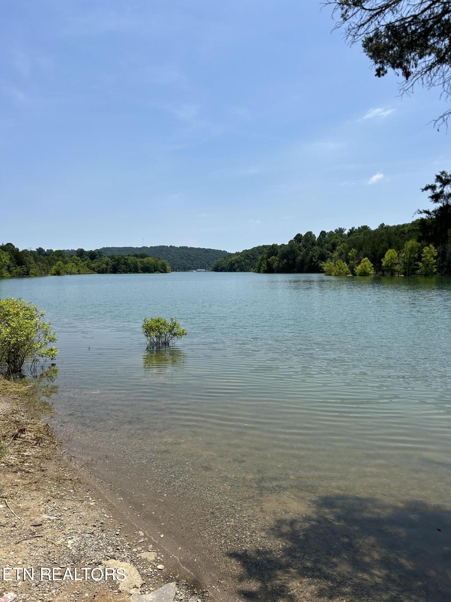 Norris Lake Real Estate - Image# 11