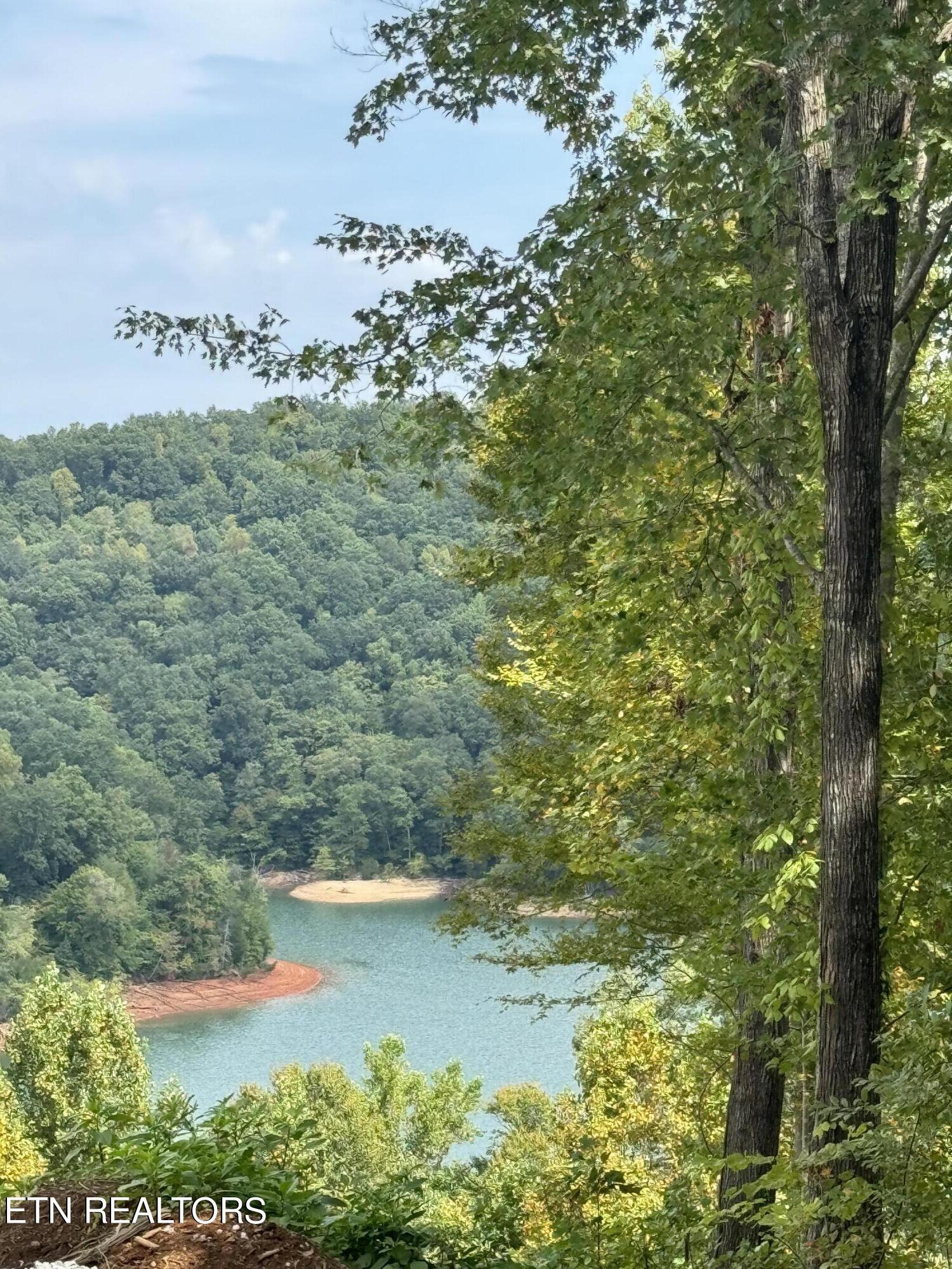 Norris Lake Real Estate - Image# 2