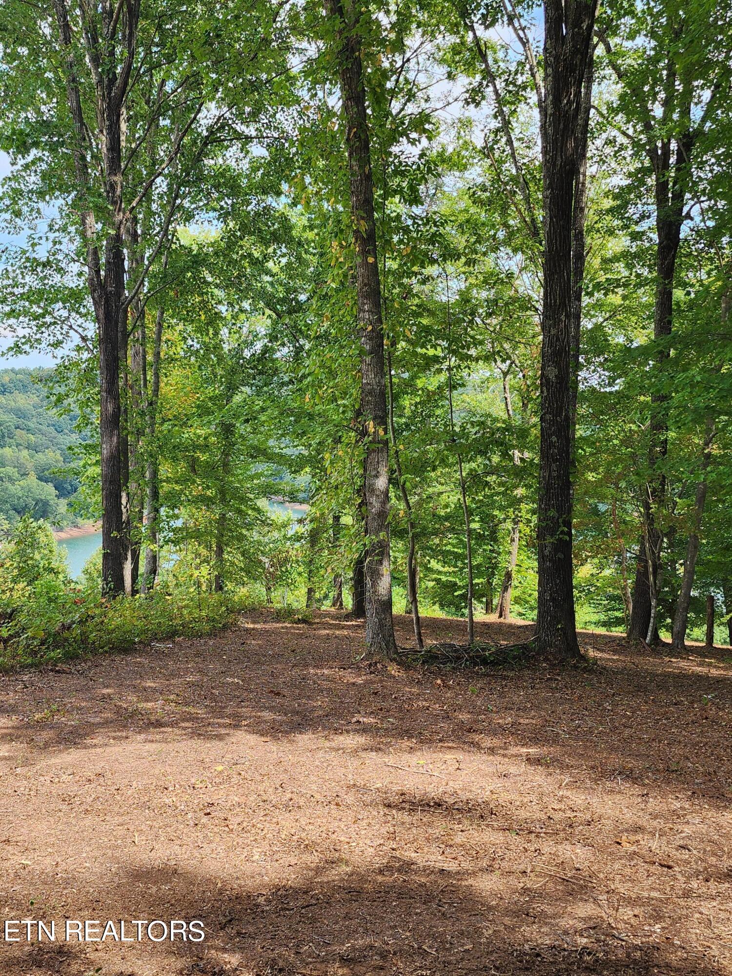 Norris Lake Real Estate - Image# 5