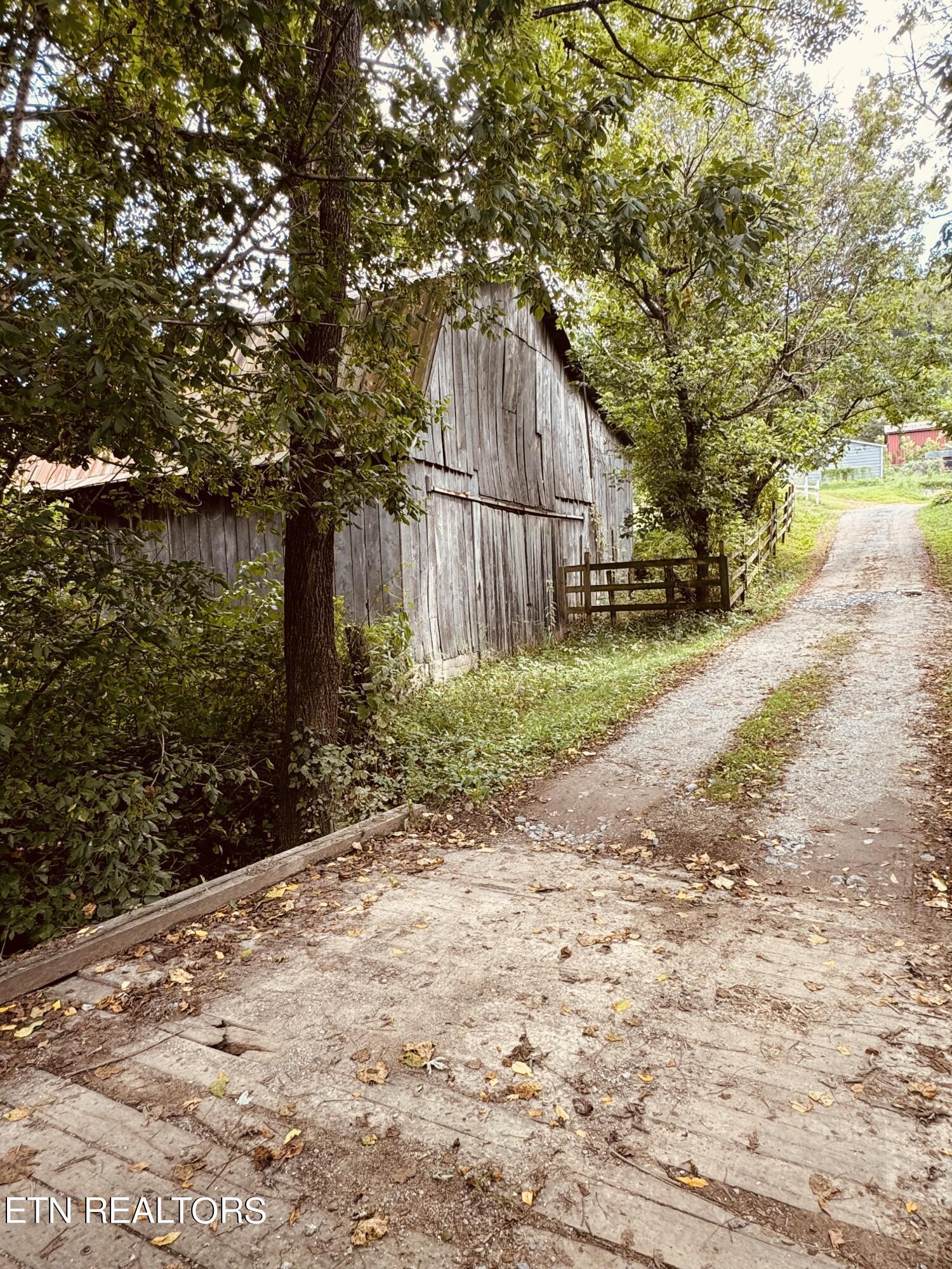 Norris Lake Real Estate - Image# 4