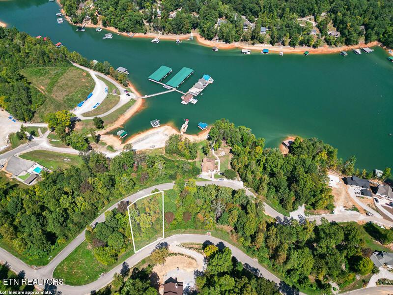 Norris Lake Real Estate - Image# 5