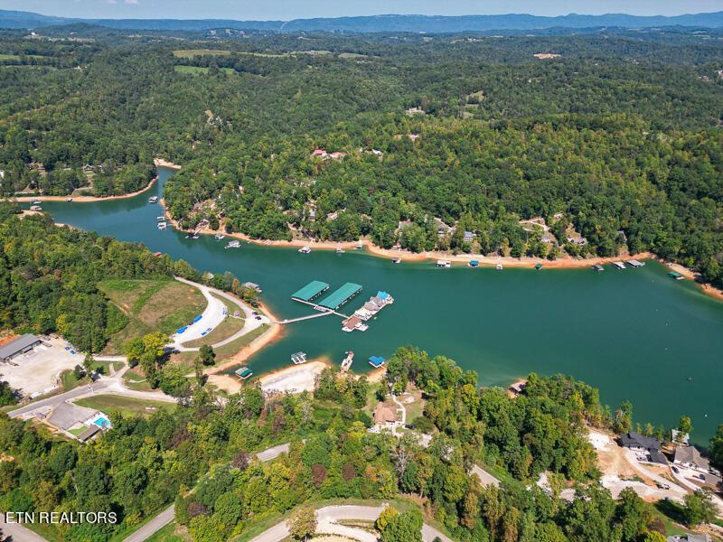 Norris Lake Real Estate - Image# 14