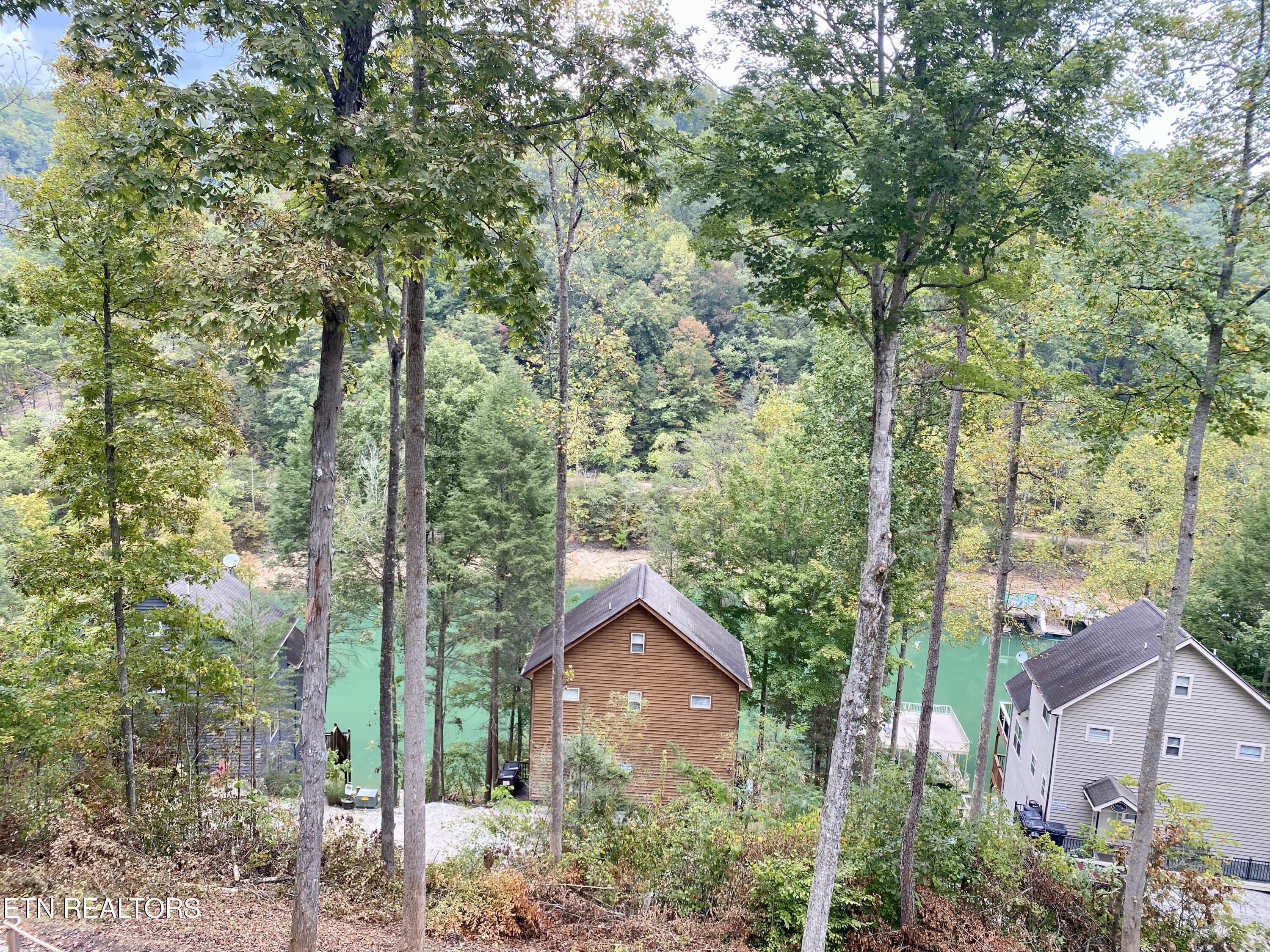 Norris Lake Real Estate - Image# 111