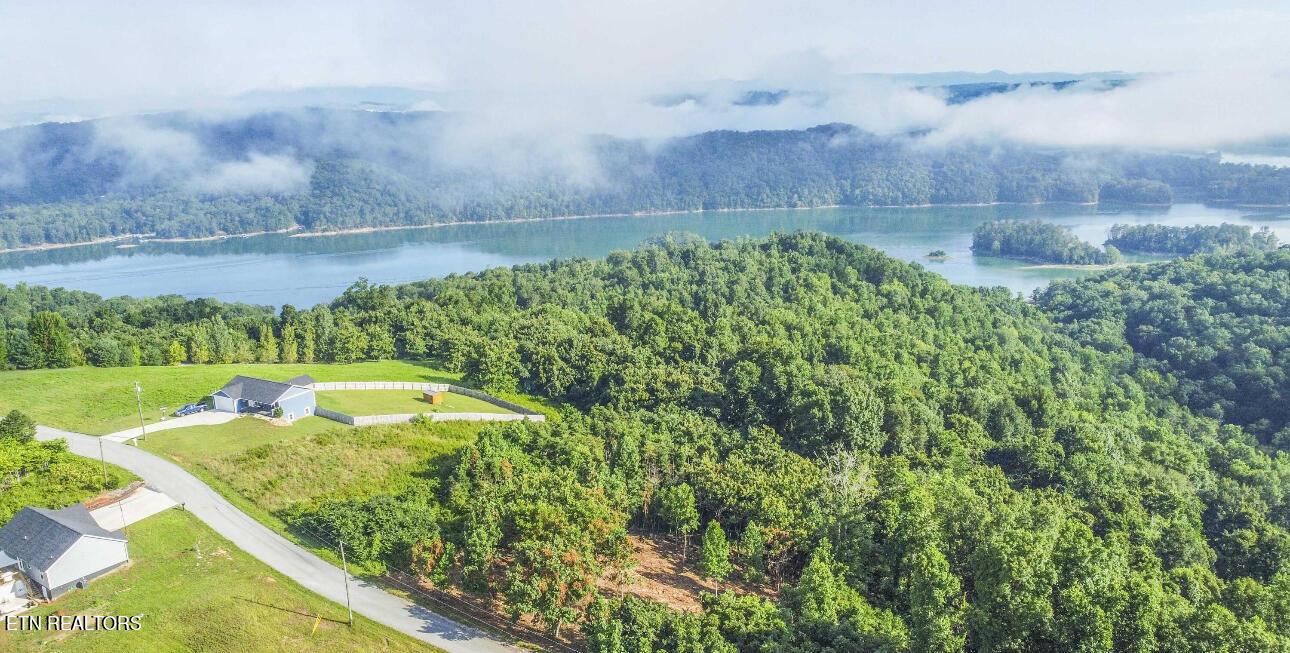 Norris Lake Real Estate - Image# 1