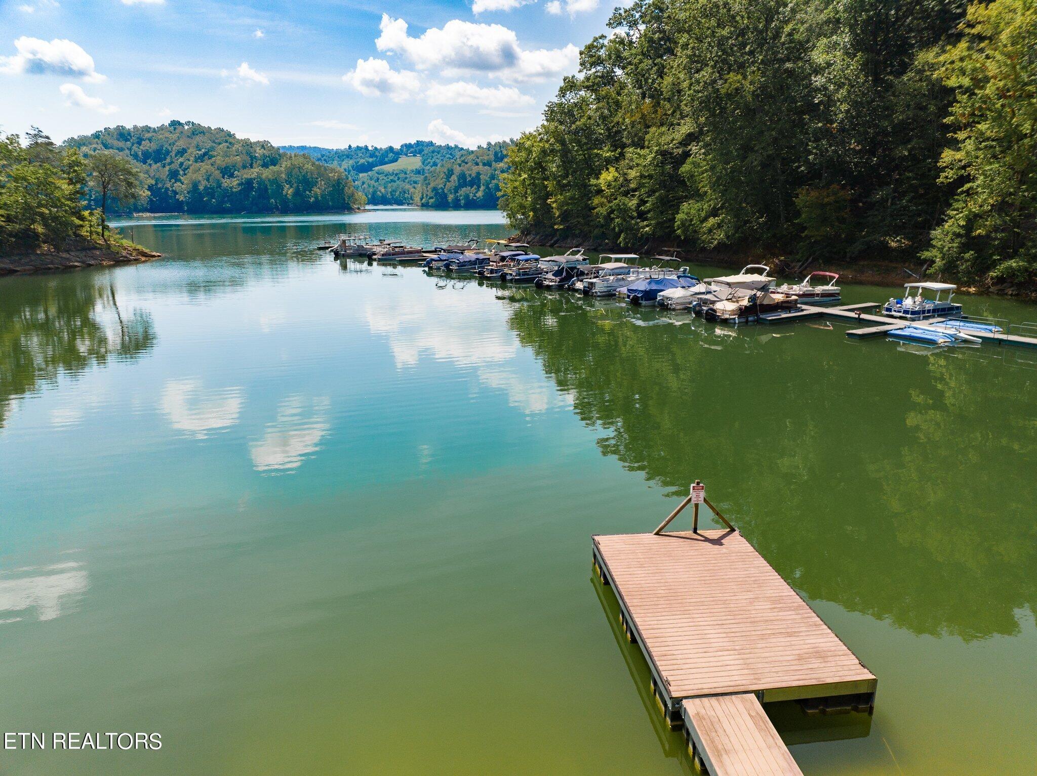 Norris Lake Real Estate - Image# 4