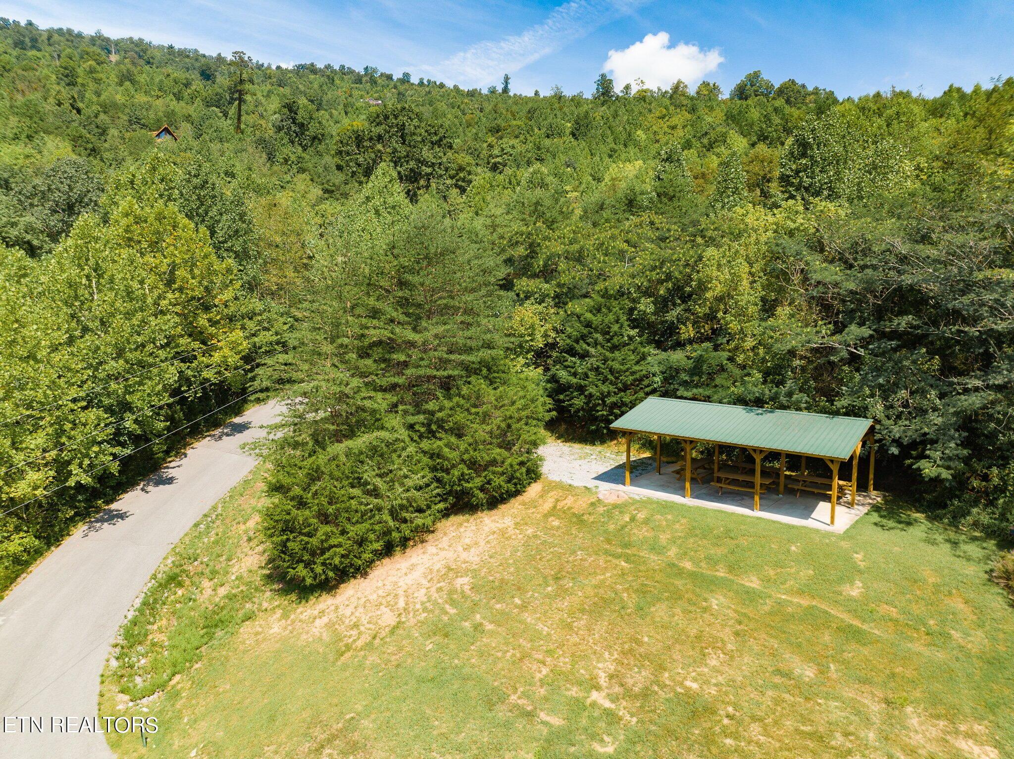 Norris Lake Real Estate - Image# 6