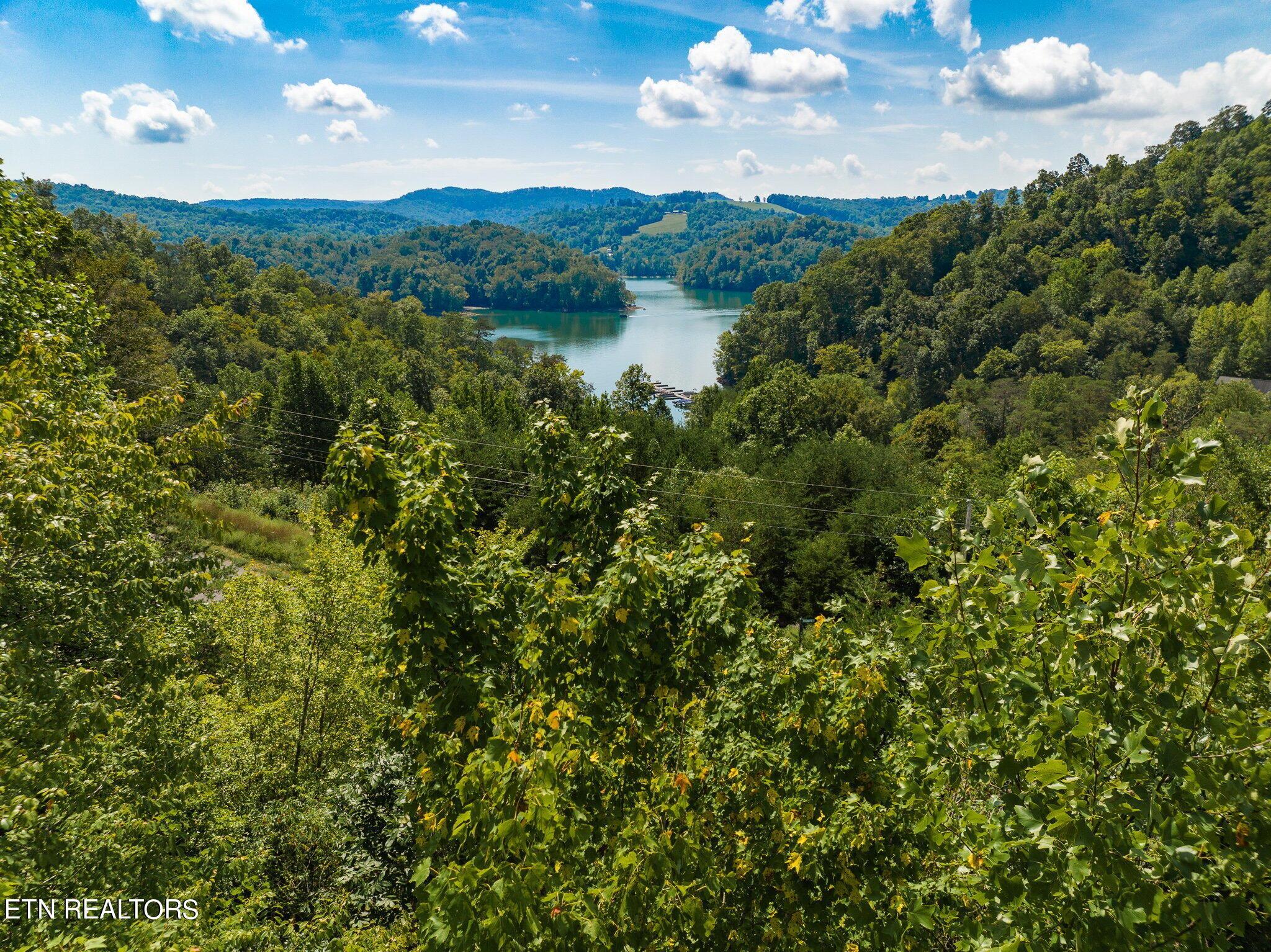 Norris Lake Real Estate - Image# 8